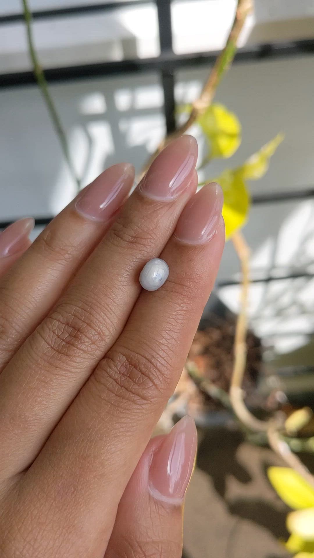 2.64 Ct. Grey Star Sapphire from Ceylon (Sri Lanka) Size Video