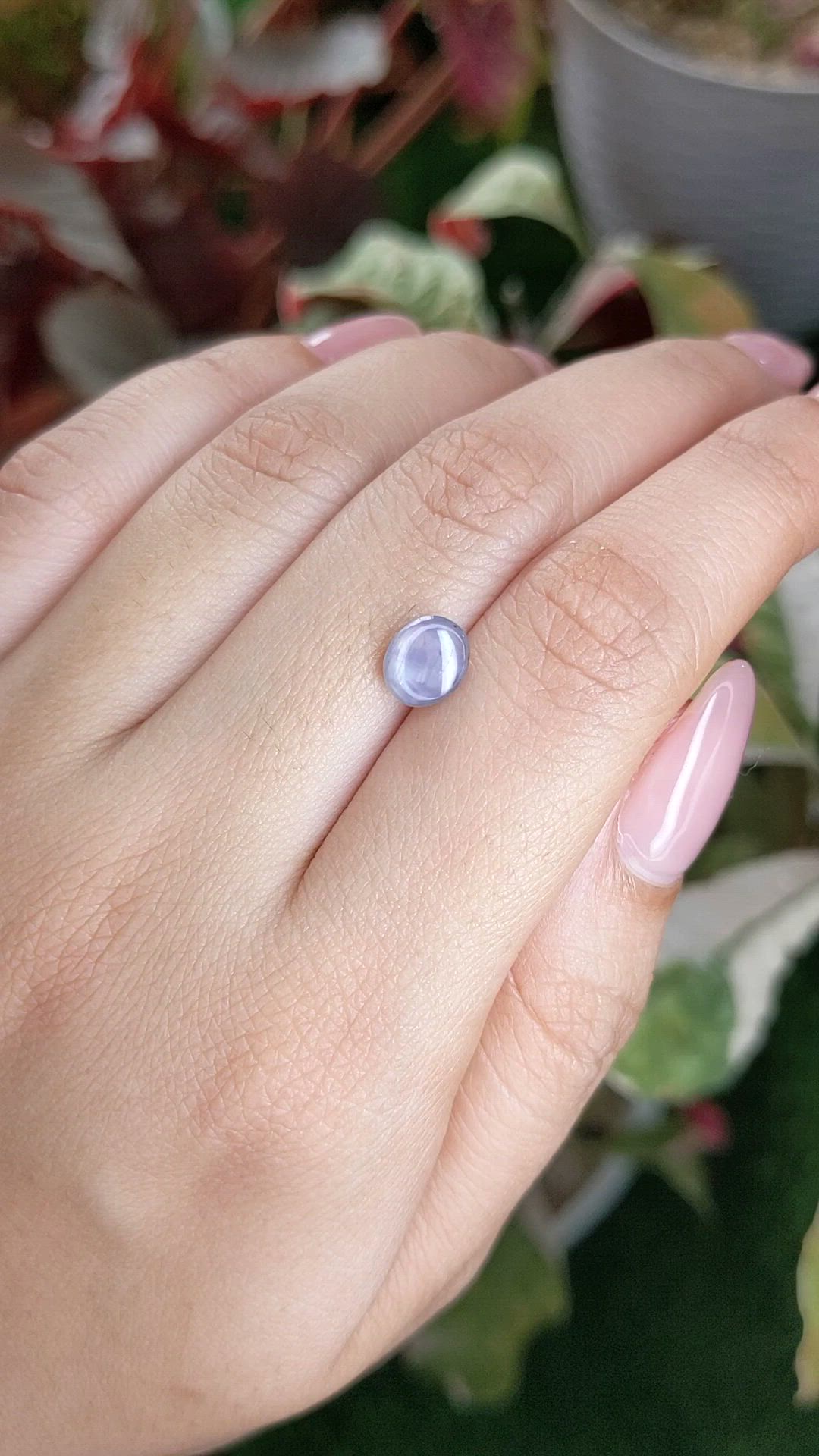 2.11 Ct. Bluish Grey Star Sapphire from Ceylon (Sri Lanka) Size Video