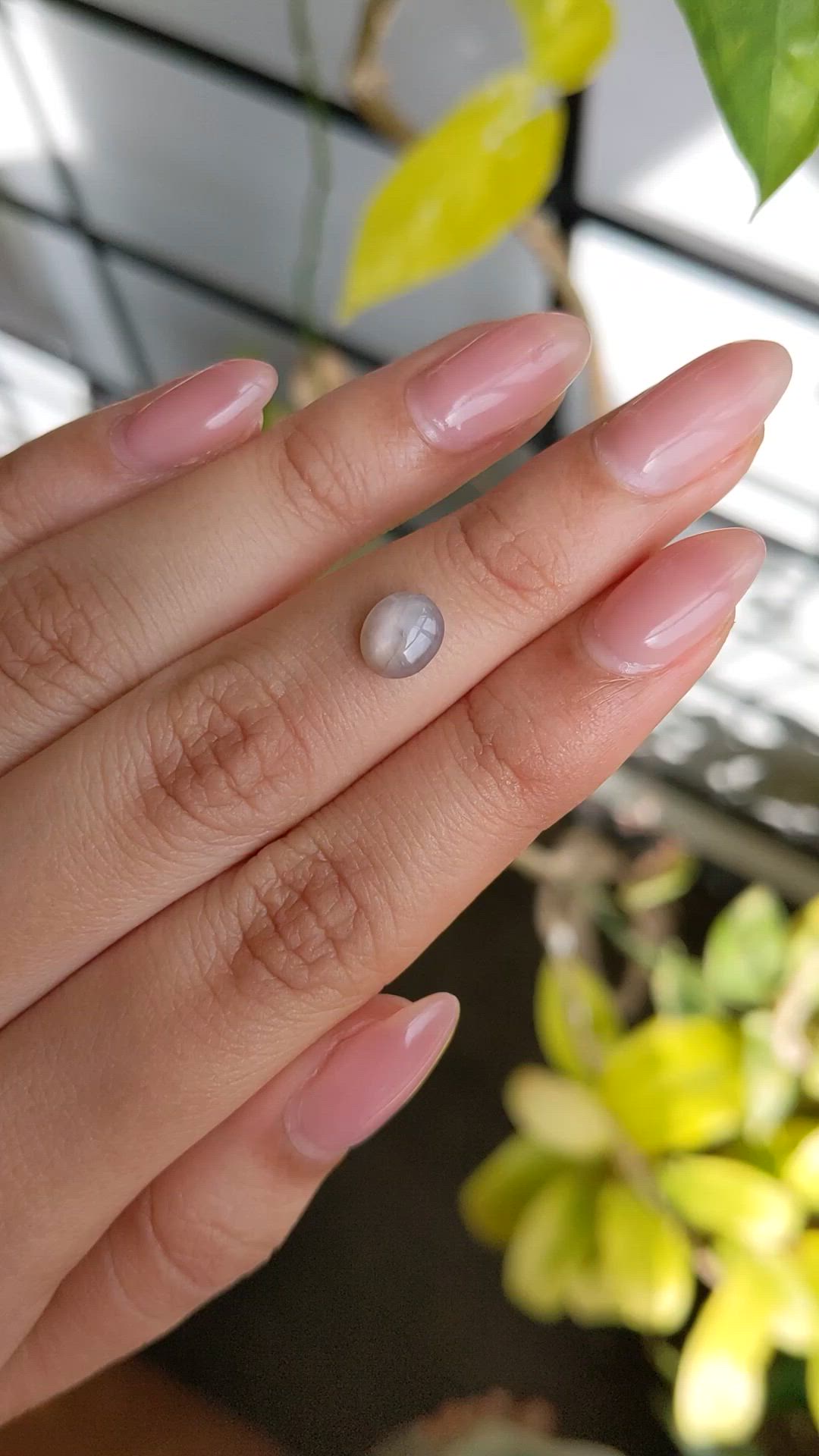1.57 Ct. Grey Star Sapphire from Ceylon (Sri Lanka) Size Video