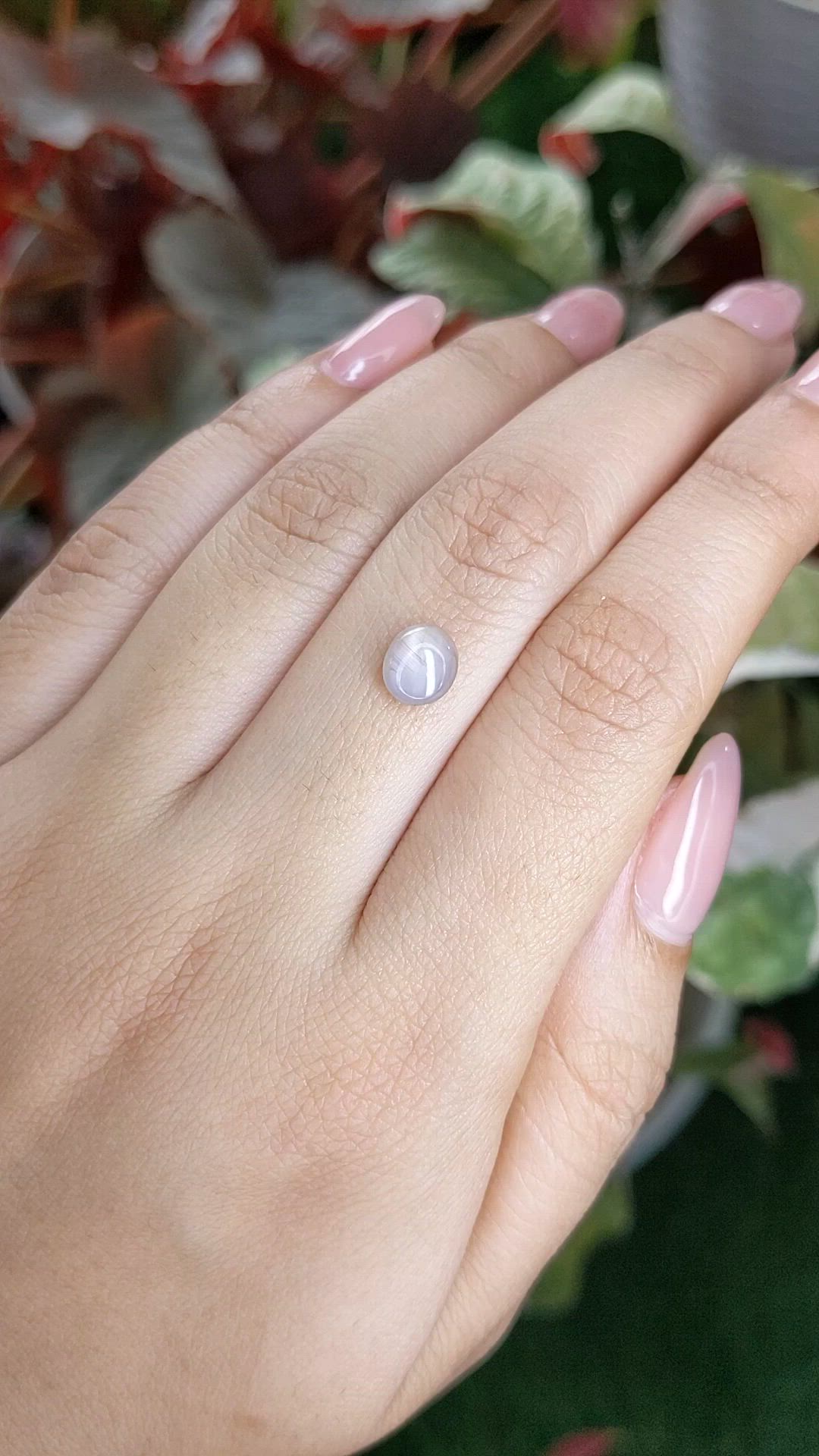 1.57 Ct. Grey Star Sapphire from Ceylon (Sri Lanka) Size Video
