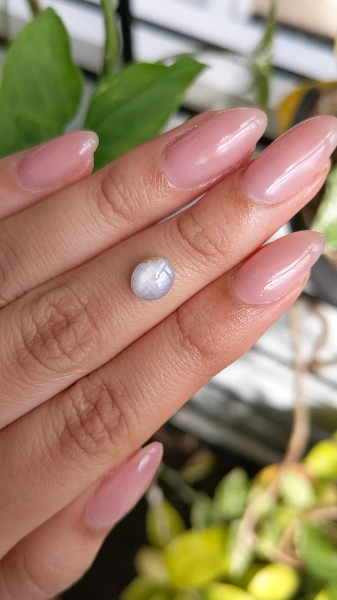 1.43 Ct. Bluish Grey Star Sapphire from Ceylon (Sri Lanka) Size Video