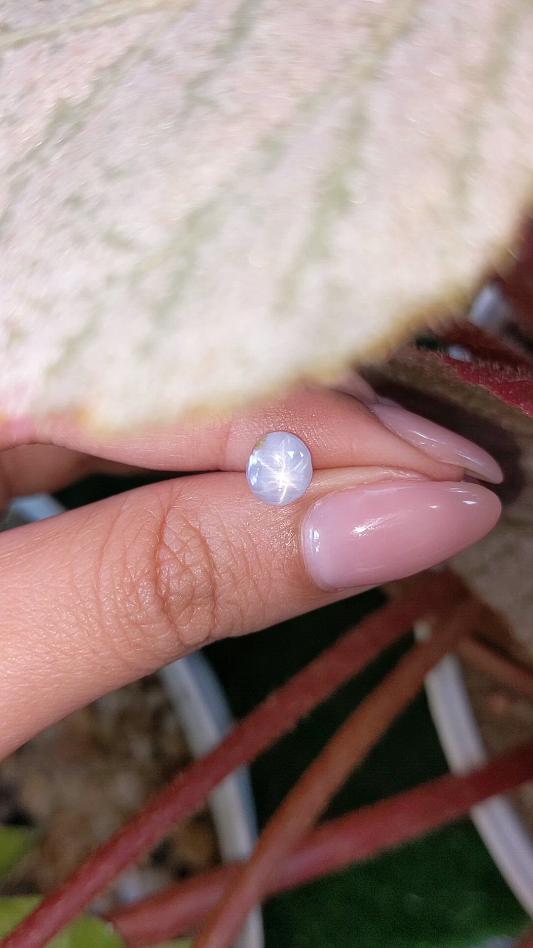 1.43 Ct. Bluish Grey Star Sapphire from Ceylon (Sri Lanka) Size Video