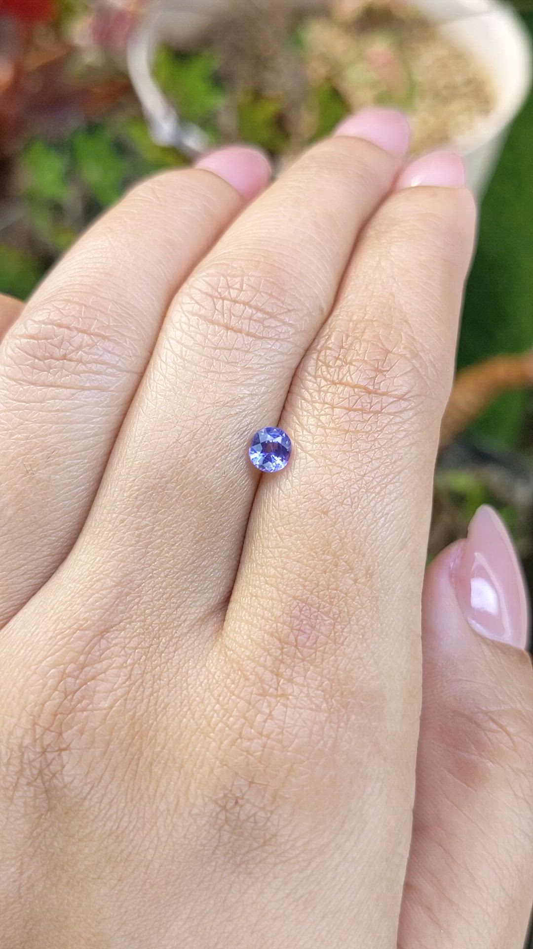 0.55 Ct. Violet Sapphire from Ceylon (Sri Lanka) Size Video