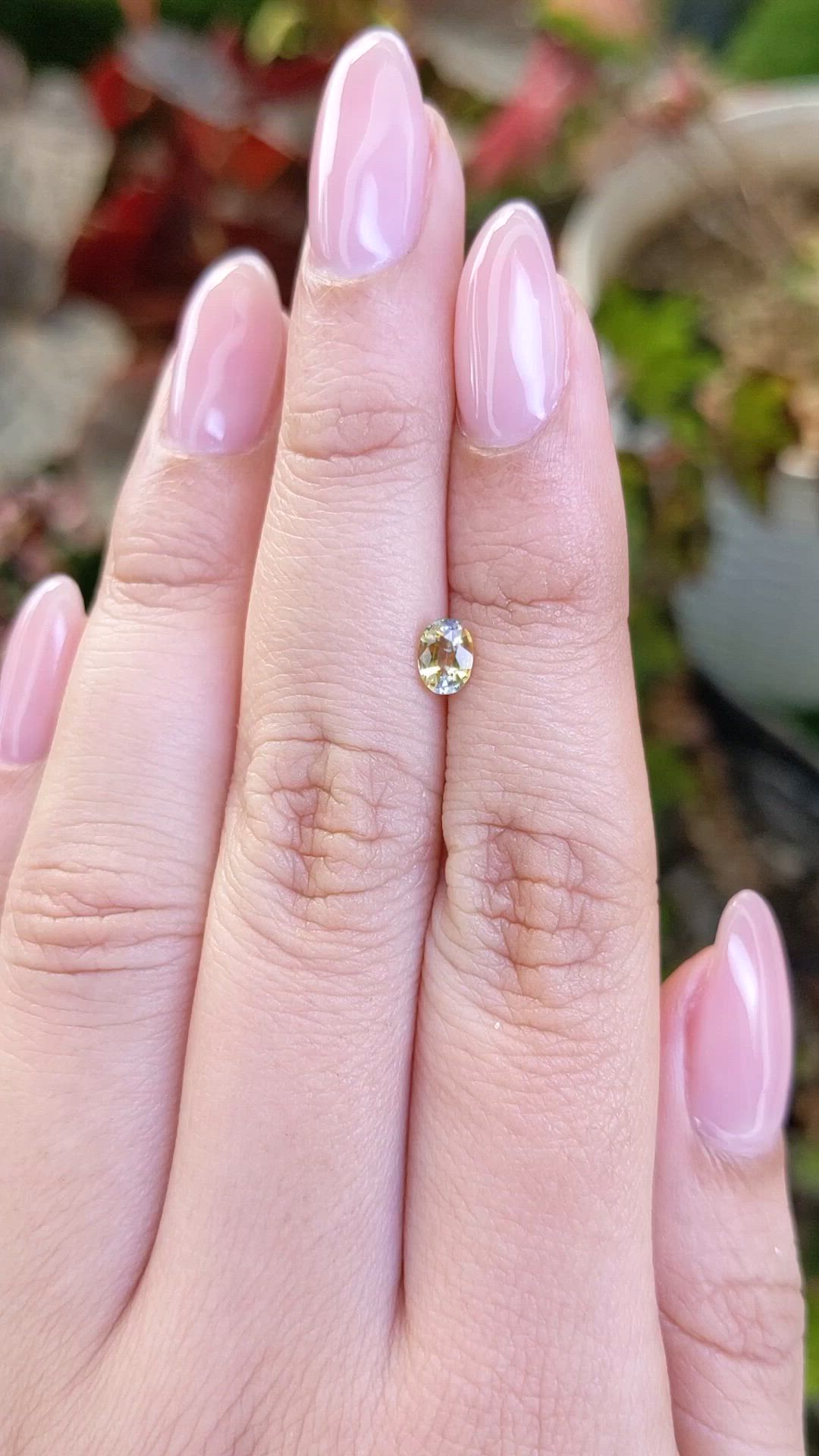 0.46 Ct. Bi Color / Parti Sapphire from Ceylon (Sri Lanka) Size Video