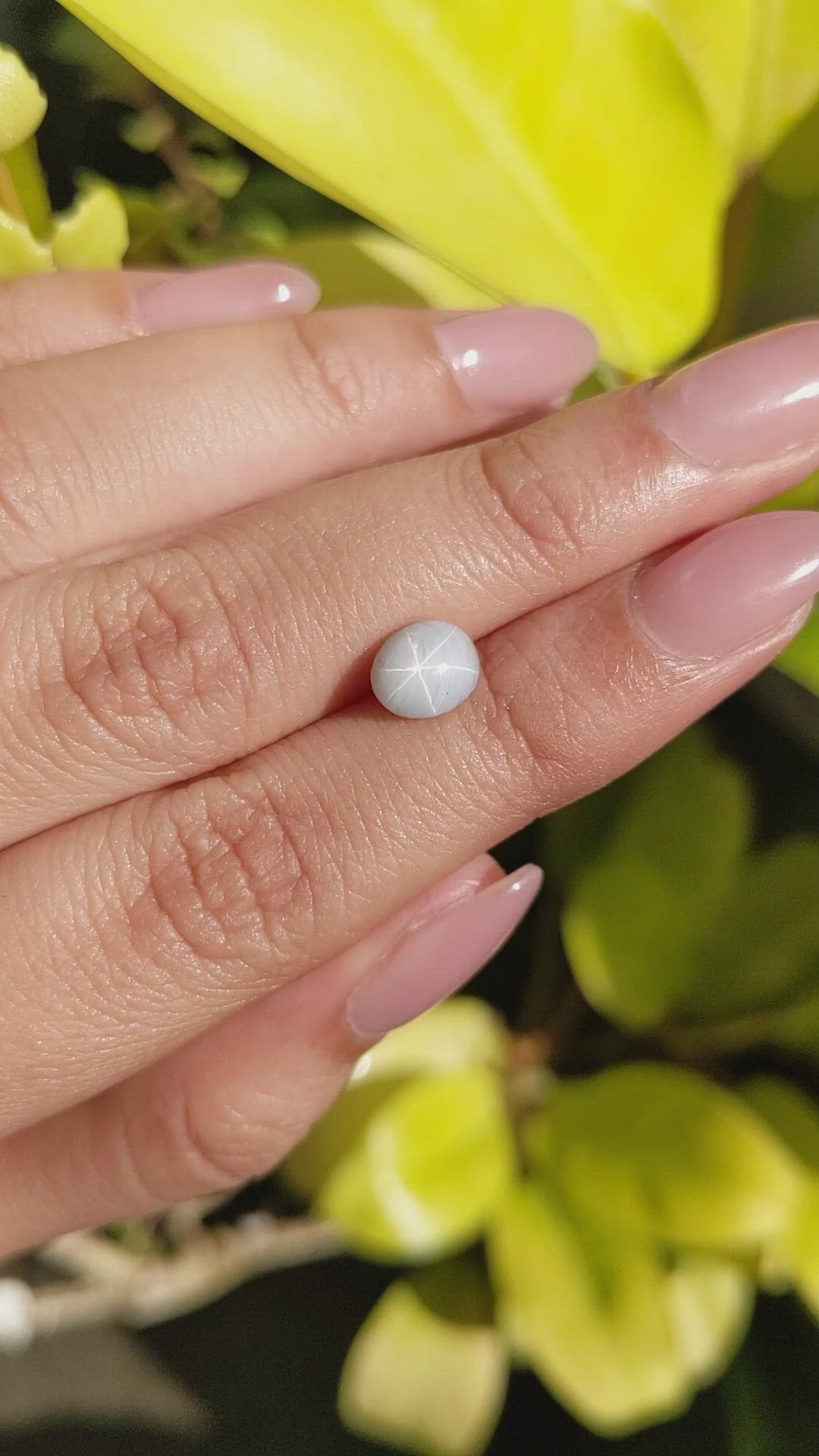 2.47 Ct. Bluish Grey Star Sapphire from Ceylon (Sri Lanka) Size Video