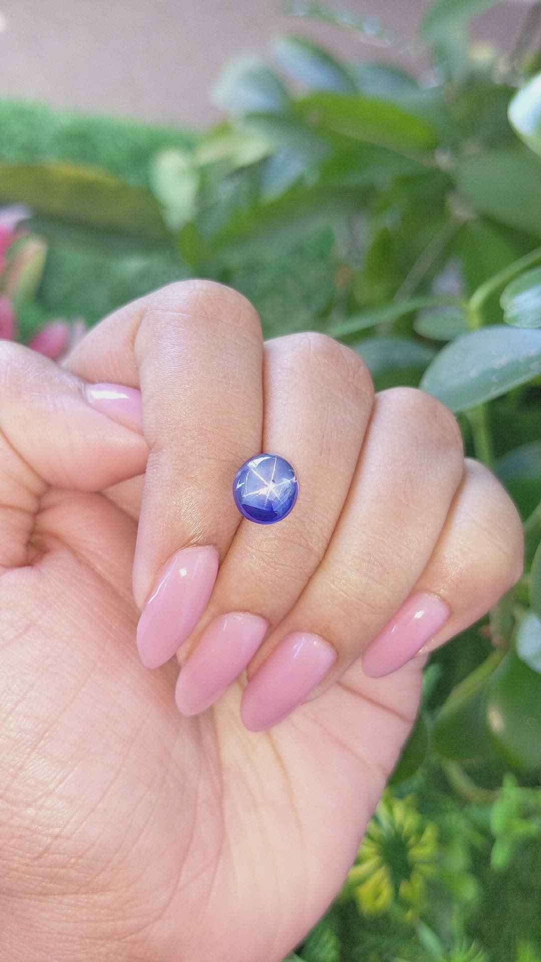 5.53 Ct. Purplish Blue Star Sapphire from Ceylon (Sri Lanka) Size Video