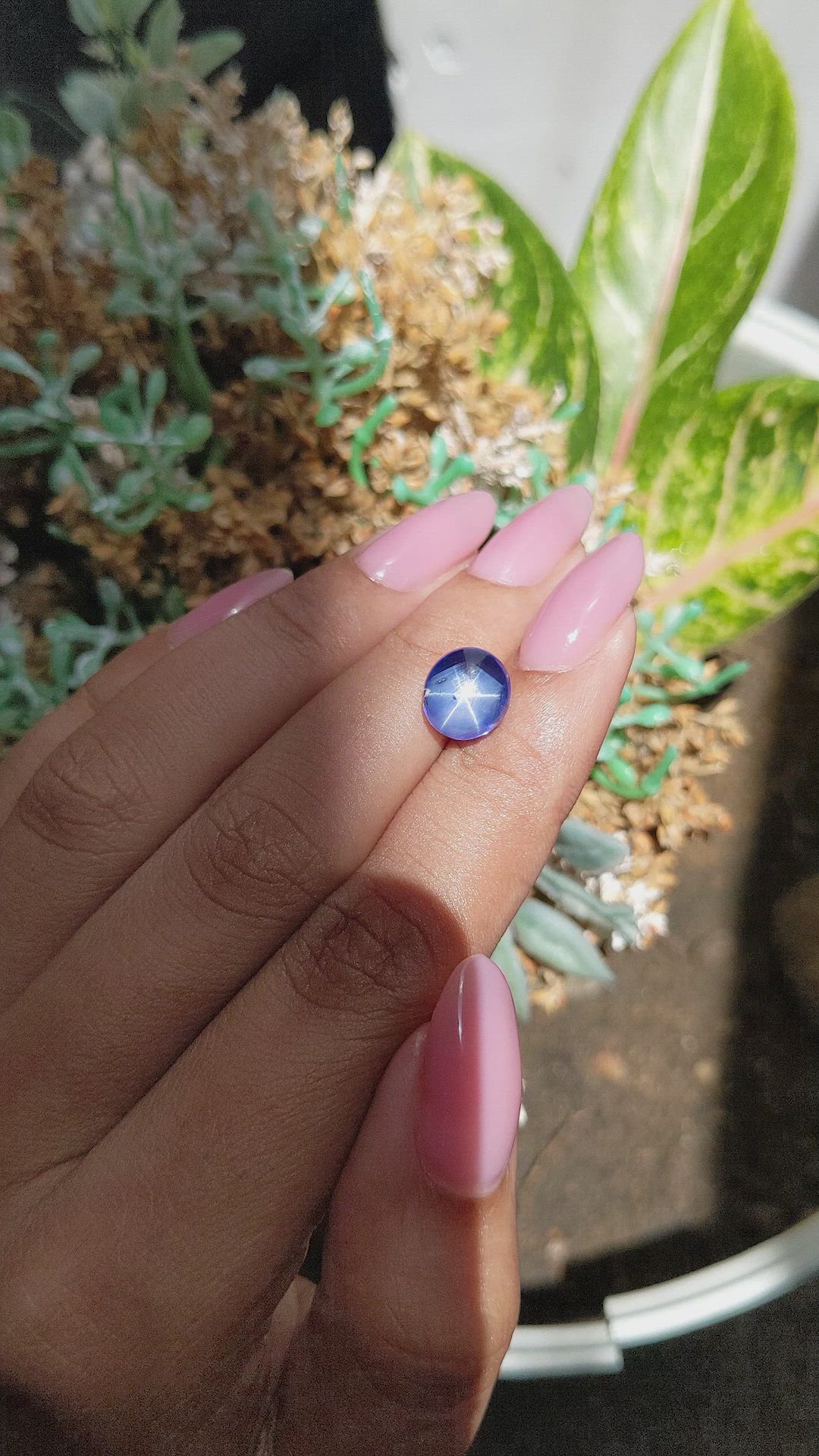 5.53 Ct. Purplish Blue Star Sapphire from Ceylon (Sri Lanka) Size Video