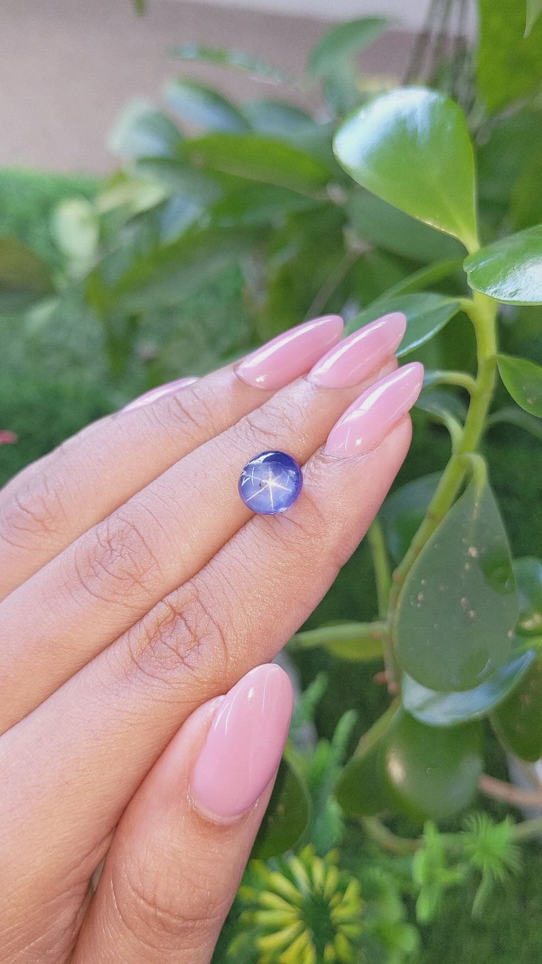 5.53 Ct. Purplish Blue Star Sapphire from Ceylon (Sri Lanka) Size Video