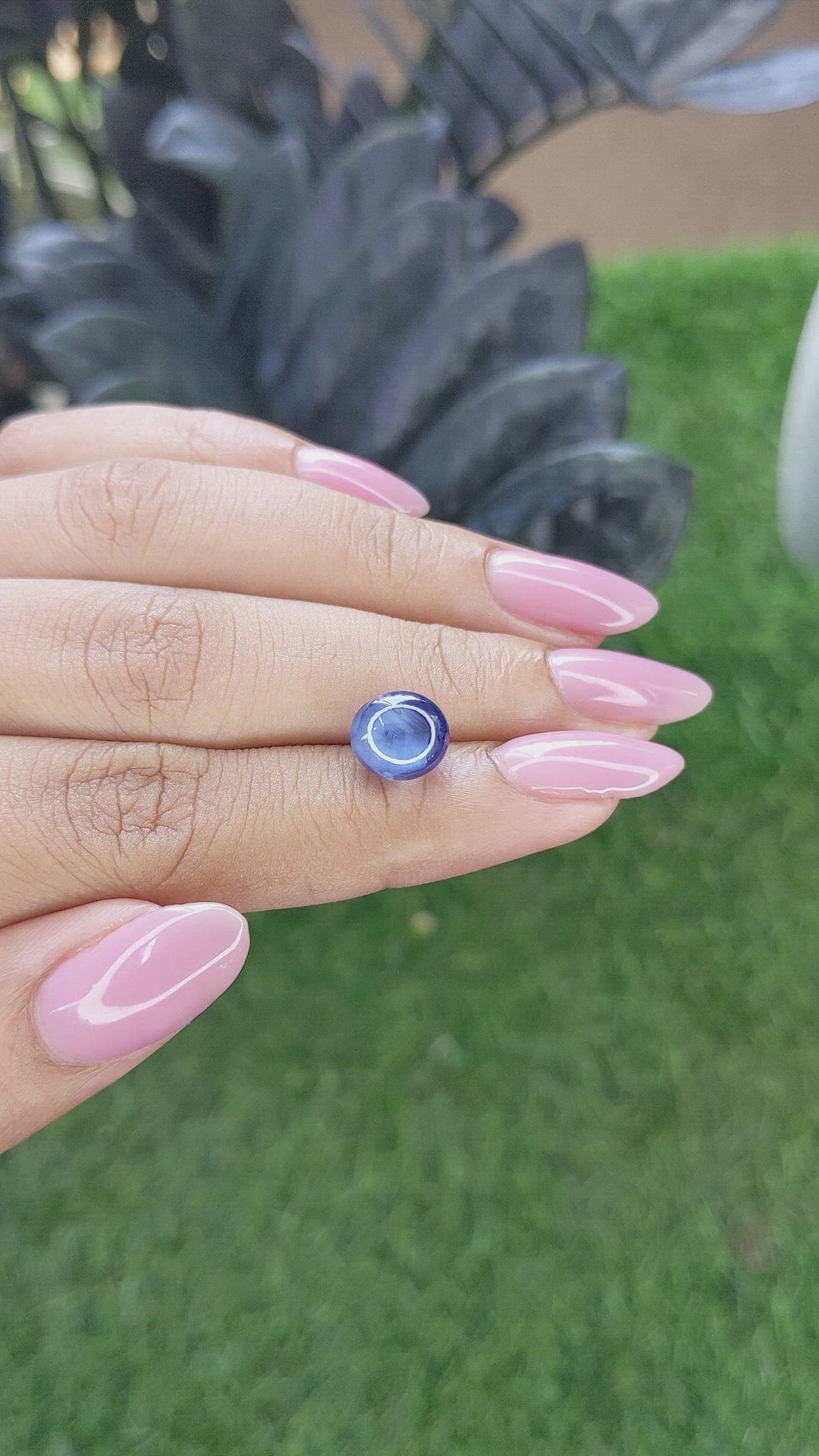 5.53 Ct. Purplish Blue Star Sapphire from Ceylon (Sri Lanka) Size Video