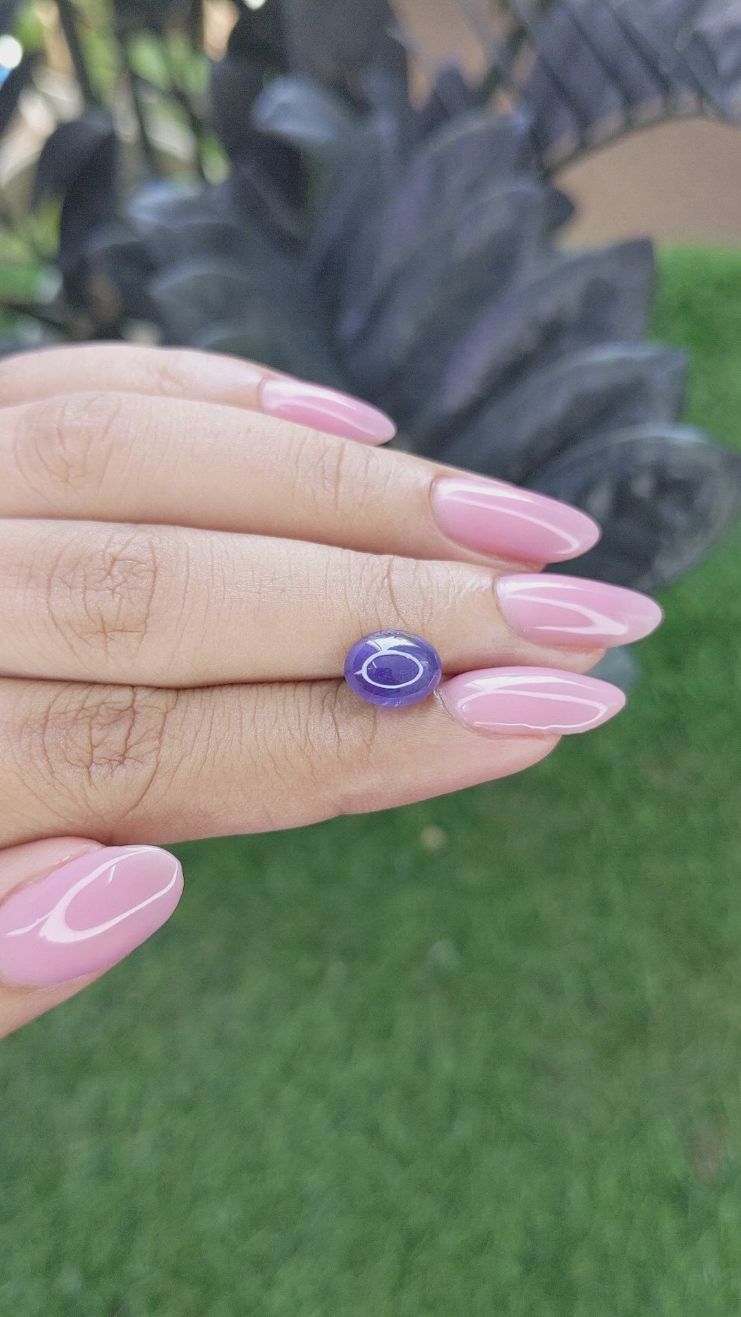 3.41 Ct. Bluish Purple Star Sapphire from Ceylon (Sri Lanka) Size Video