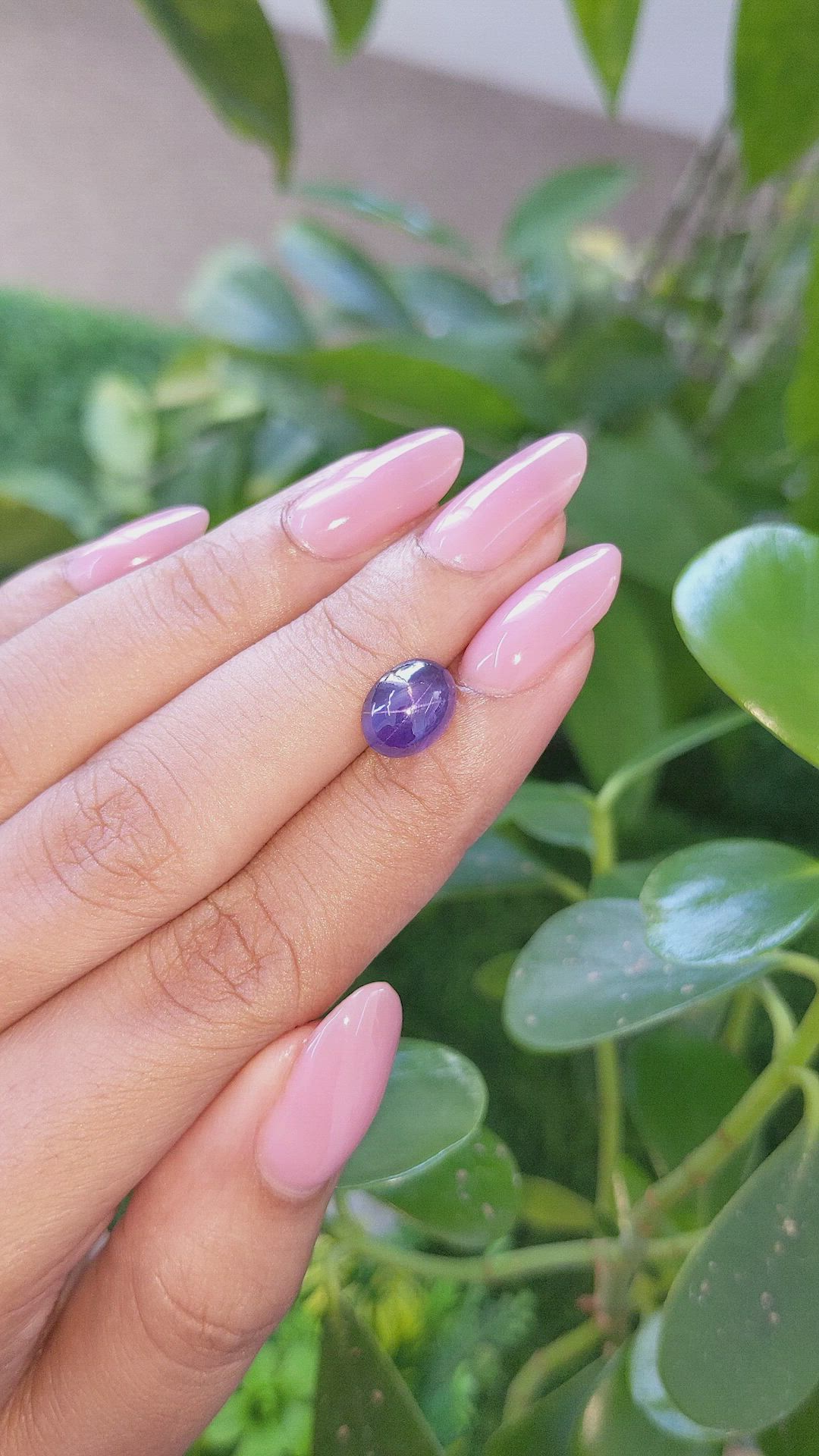 3.41 Ct. Bluish Purple Star Sapphire from Ceylon (Sri Lanka) Size Video