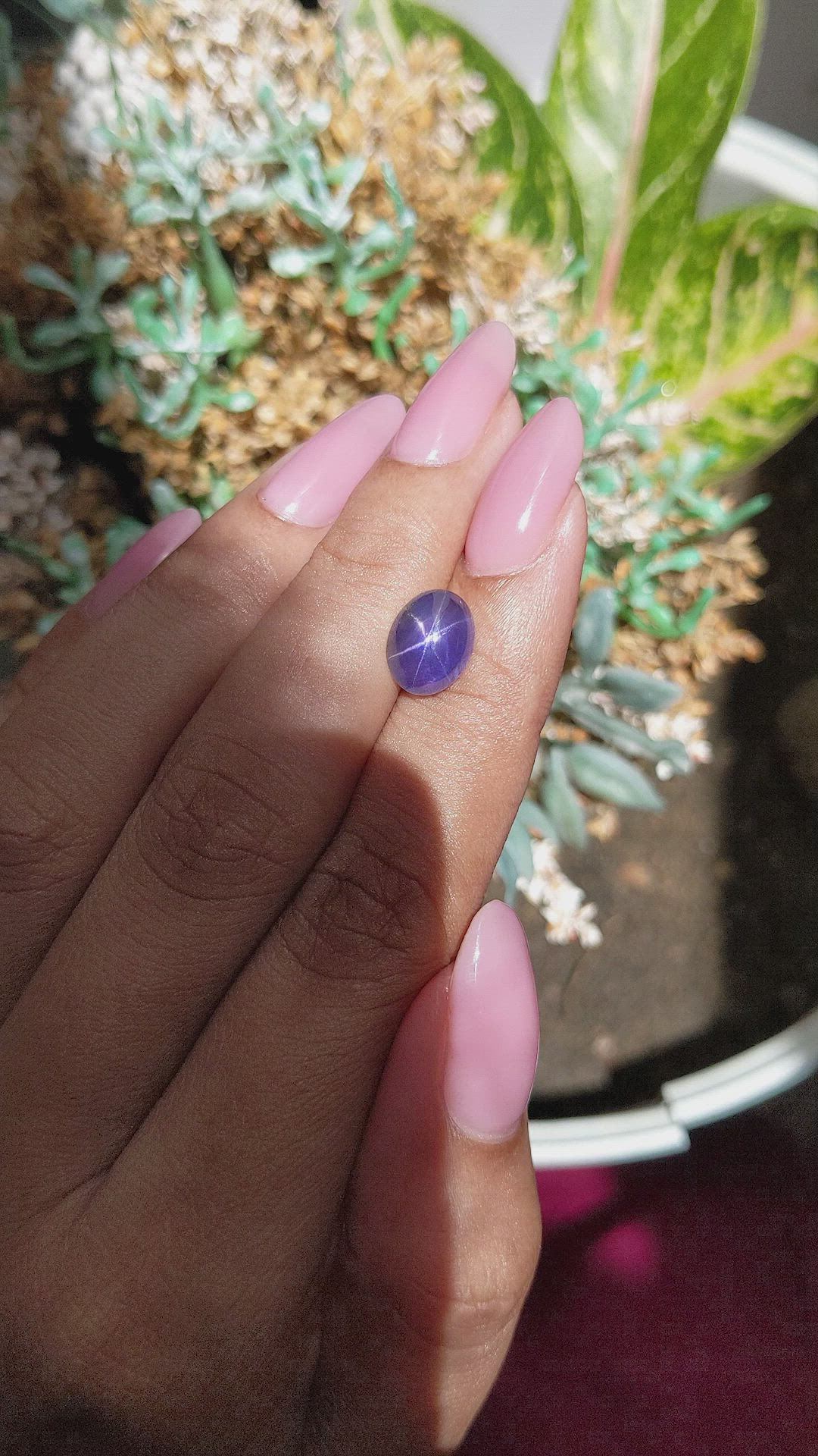 3.41 Ct. Bluish Purple Star Sapphire from Ceylon (Sri Lanka) Size Video