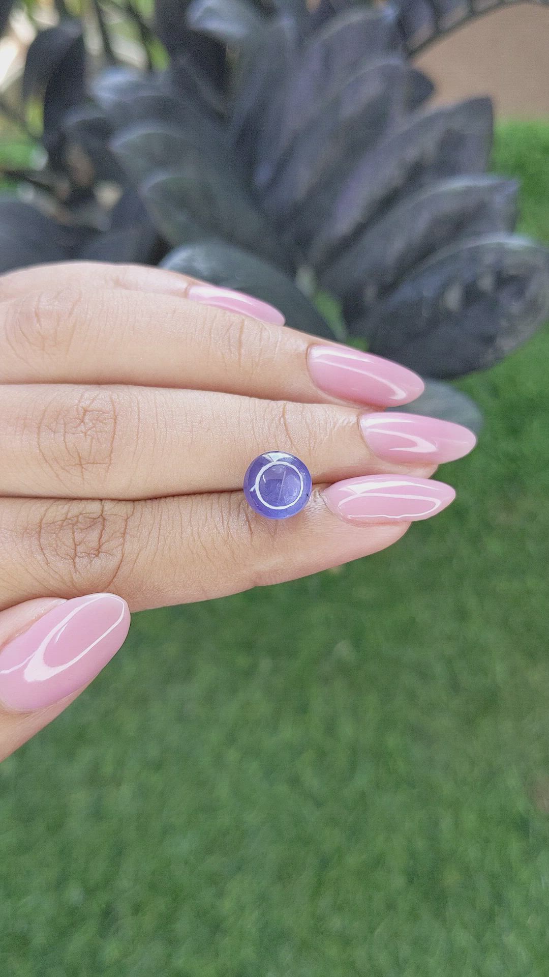 6.17 Ct. Bluish Purple Star Sapphire from Ceylon (Sri Lanka) Size Video