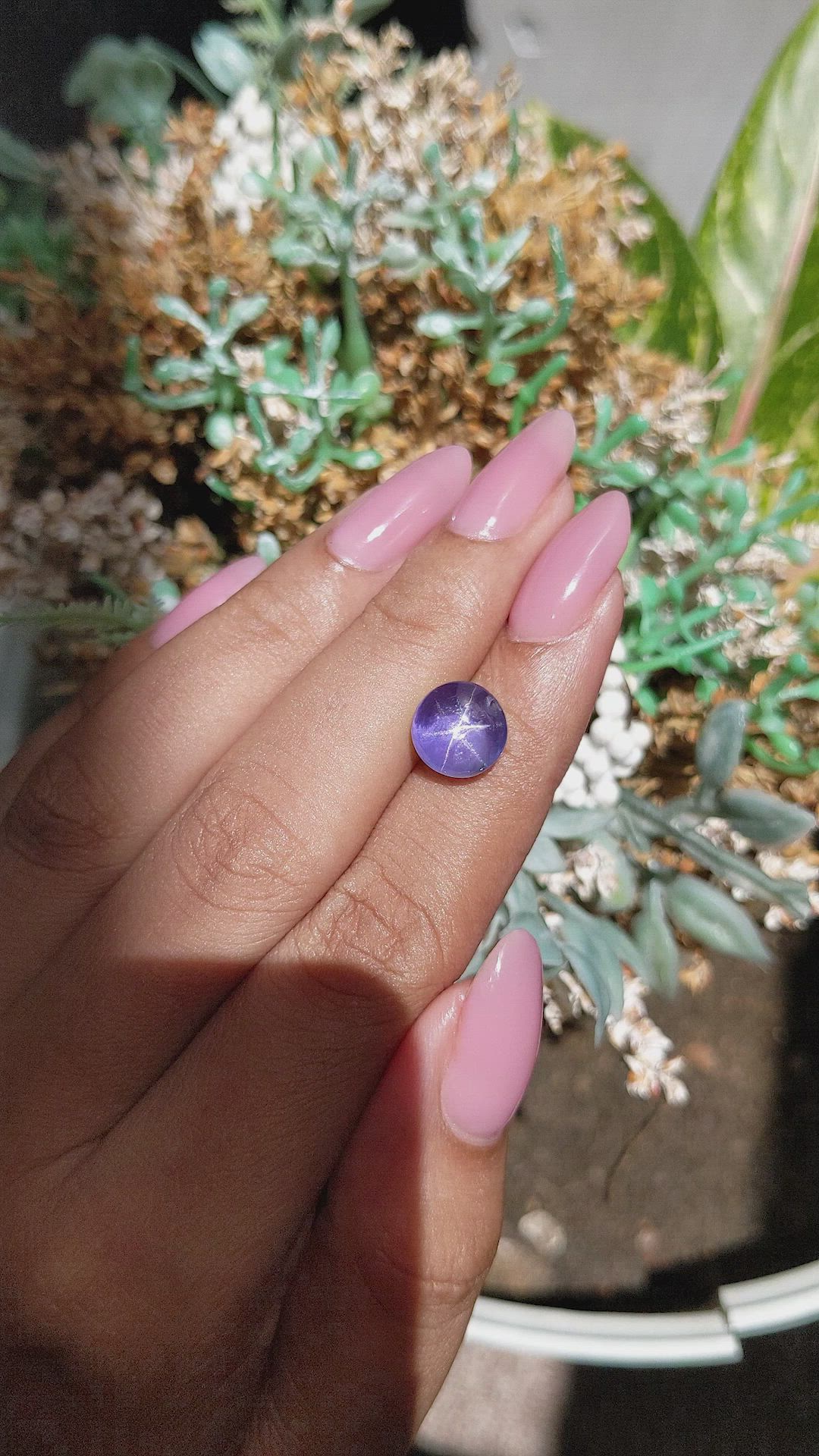 6.17 Ct. Bluish Purple Star Sapphire from Ceylon (Sri Lanka) Size Video