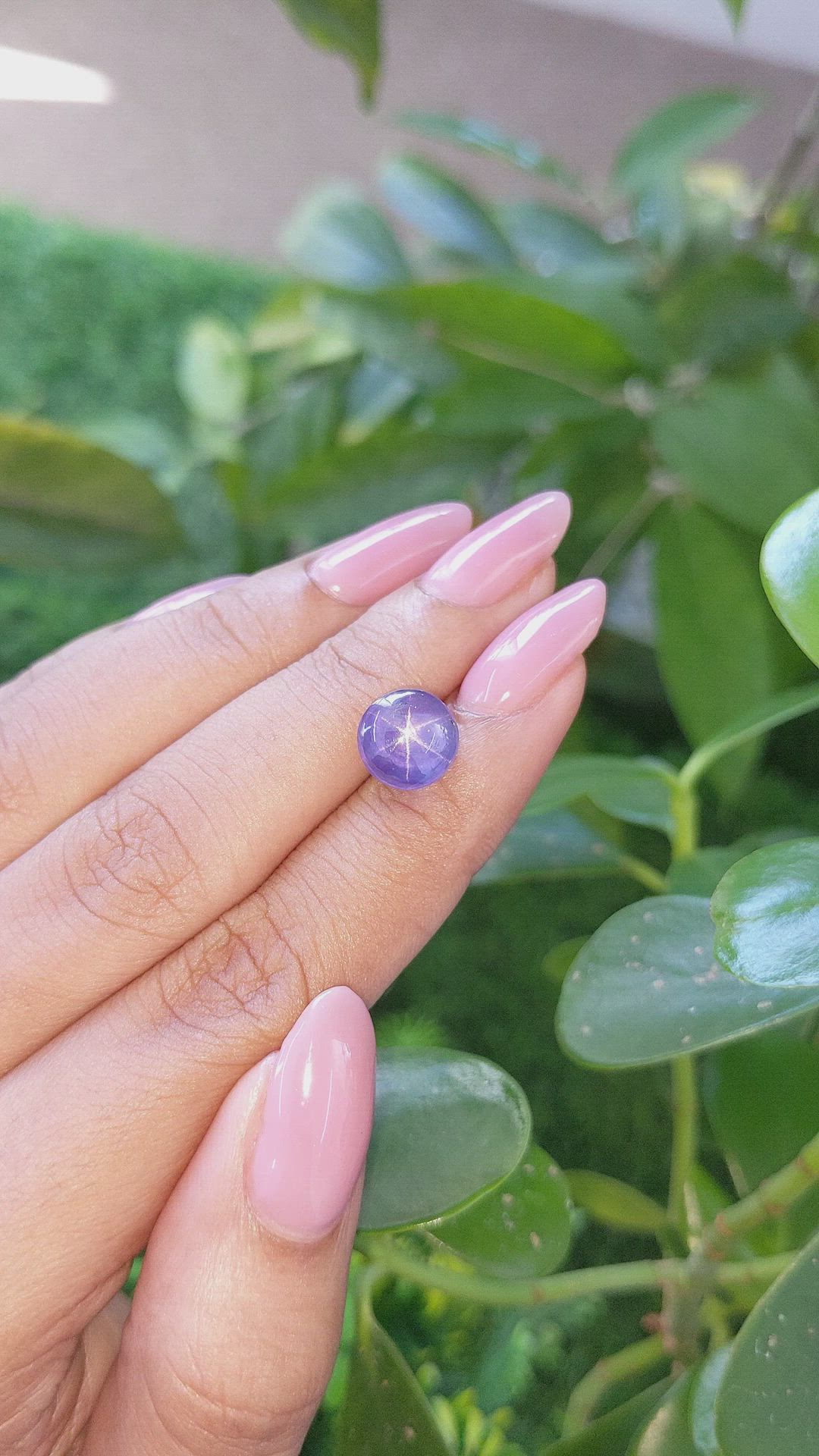 6.17 Ct. Bluish Purple Star Sapphire from Ceylon (Sri Lanka) Size Video