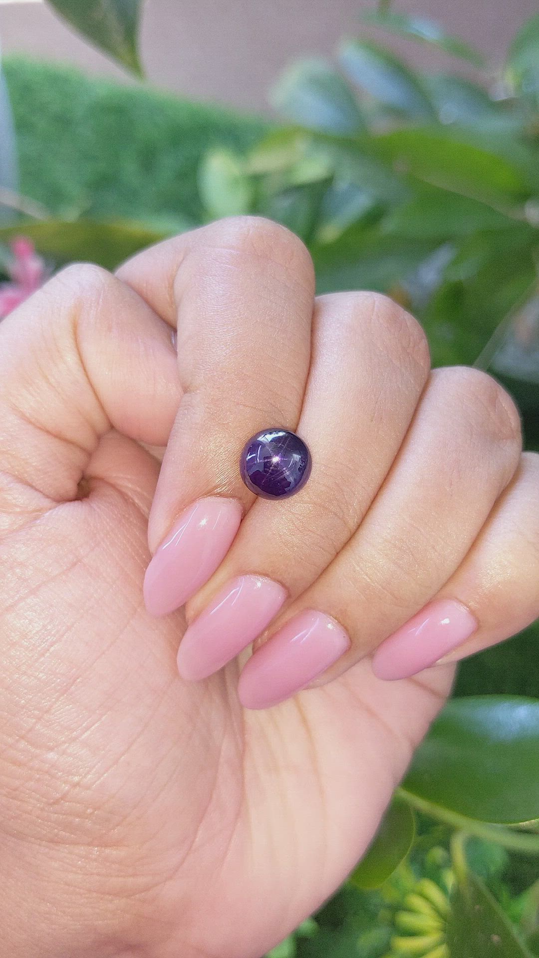 3.71 Ct. Purple Star Sapphire from Ceylon (Sri Lanka) Size Video