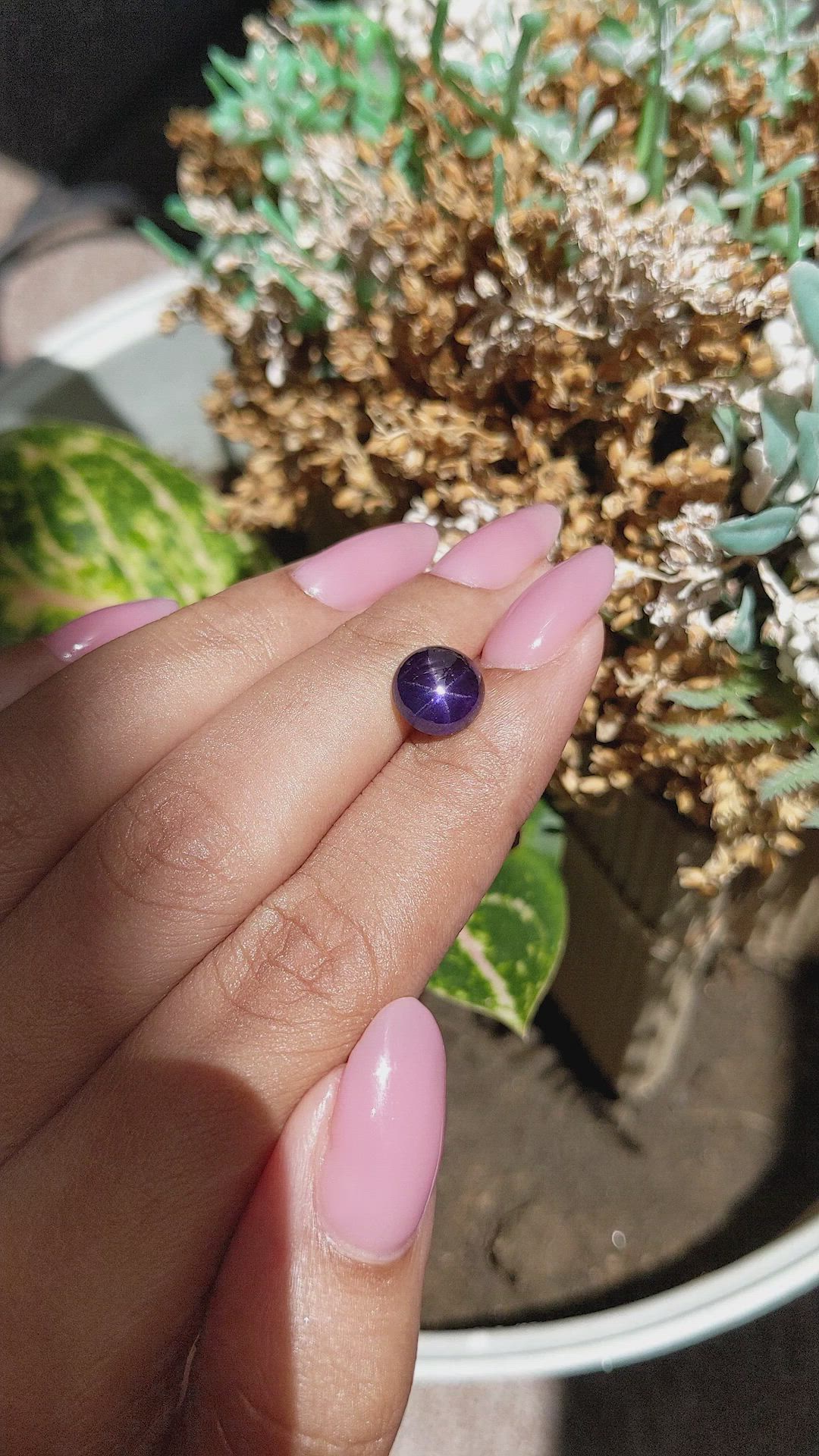 3.71 Ct. Purple Star Sapphire from Ceylon (Sri Lanka) Size Video