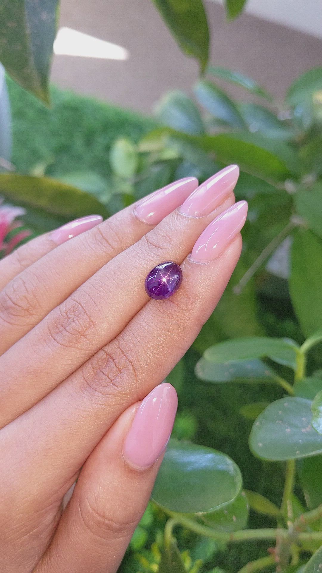 5.06 Ct. Purple Star Sapphire from Ceylon (Sri Lanka) Size Video