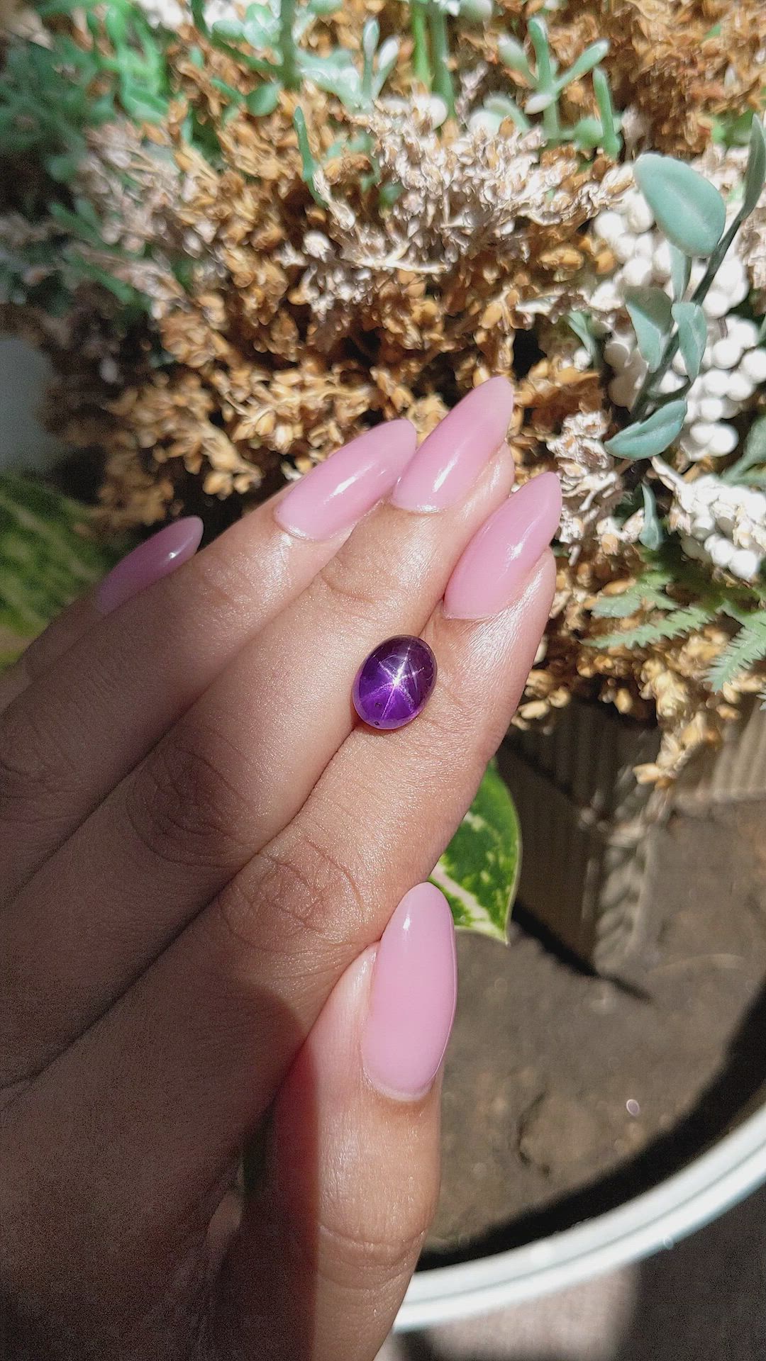 5.06 Ct. Purple Star Sapphire from Ceylon (Sri Lanka) Size Video