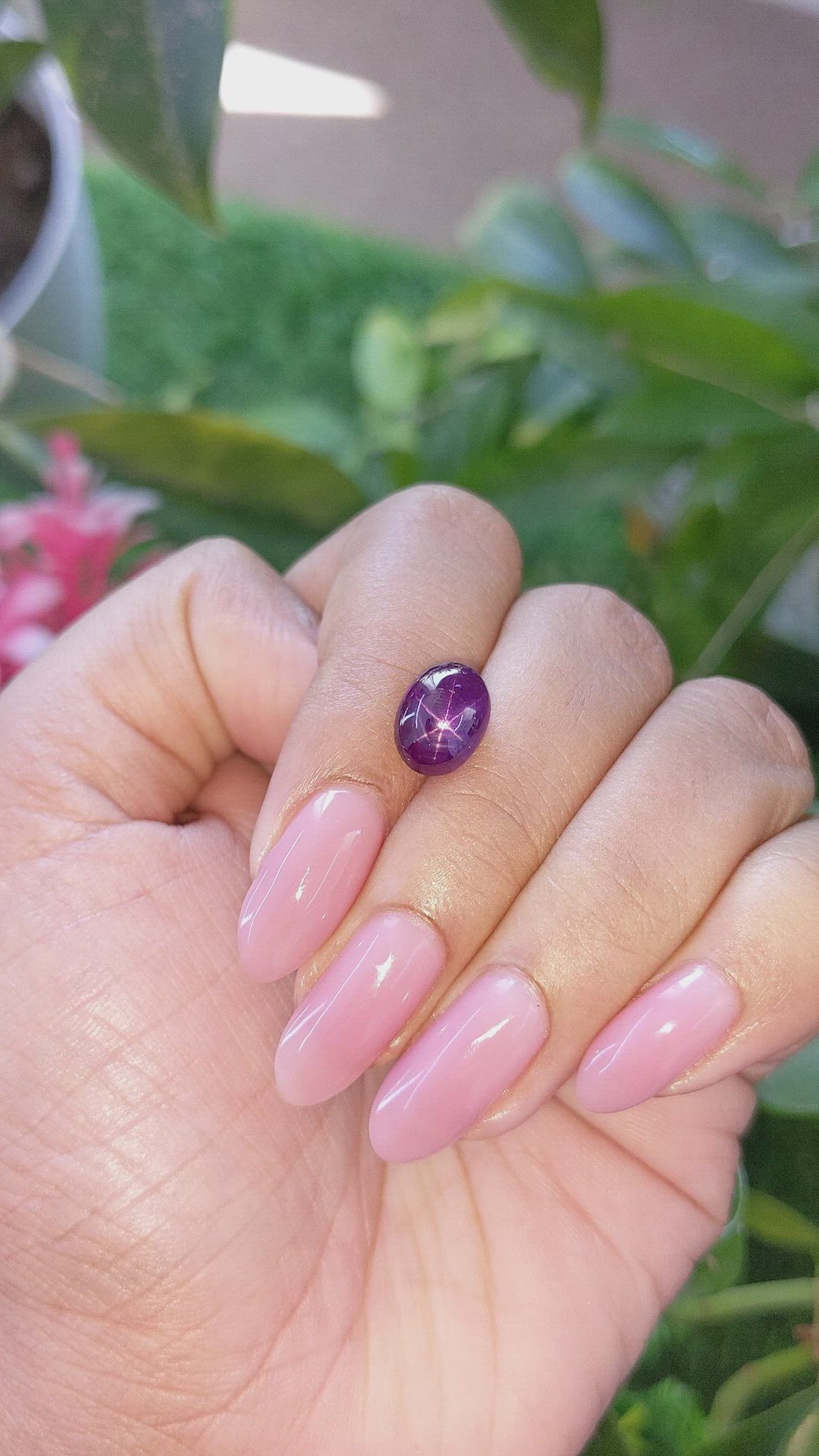 5.06 Ct. Purple Star Sapphire from Ceylon (Sri Lanka) Size Video