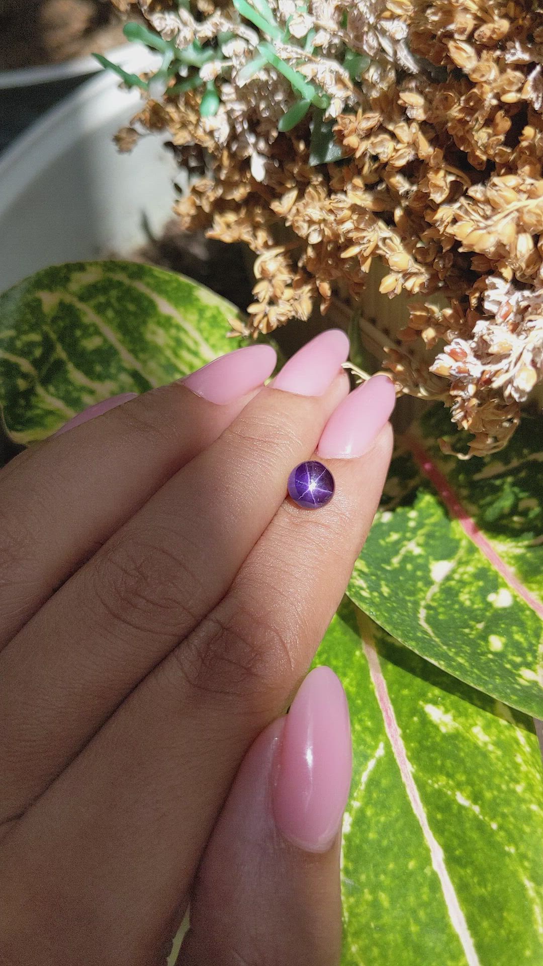 2.06 Ct. Purple Star Sapphire from Ceylon (Sri Lanka) Size Video
