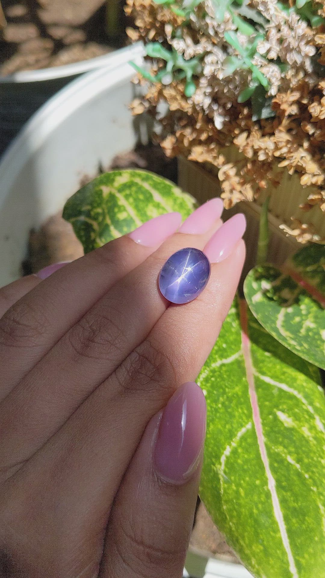 16.85 Ct. Blue Star Sapphire from Ceylon (Sri Lanka) Size Video