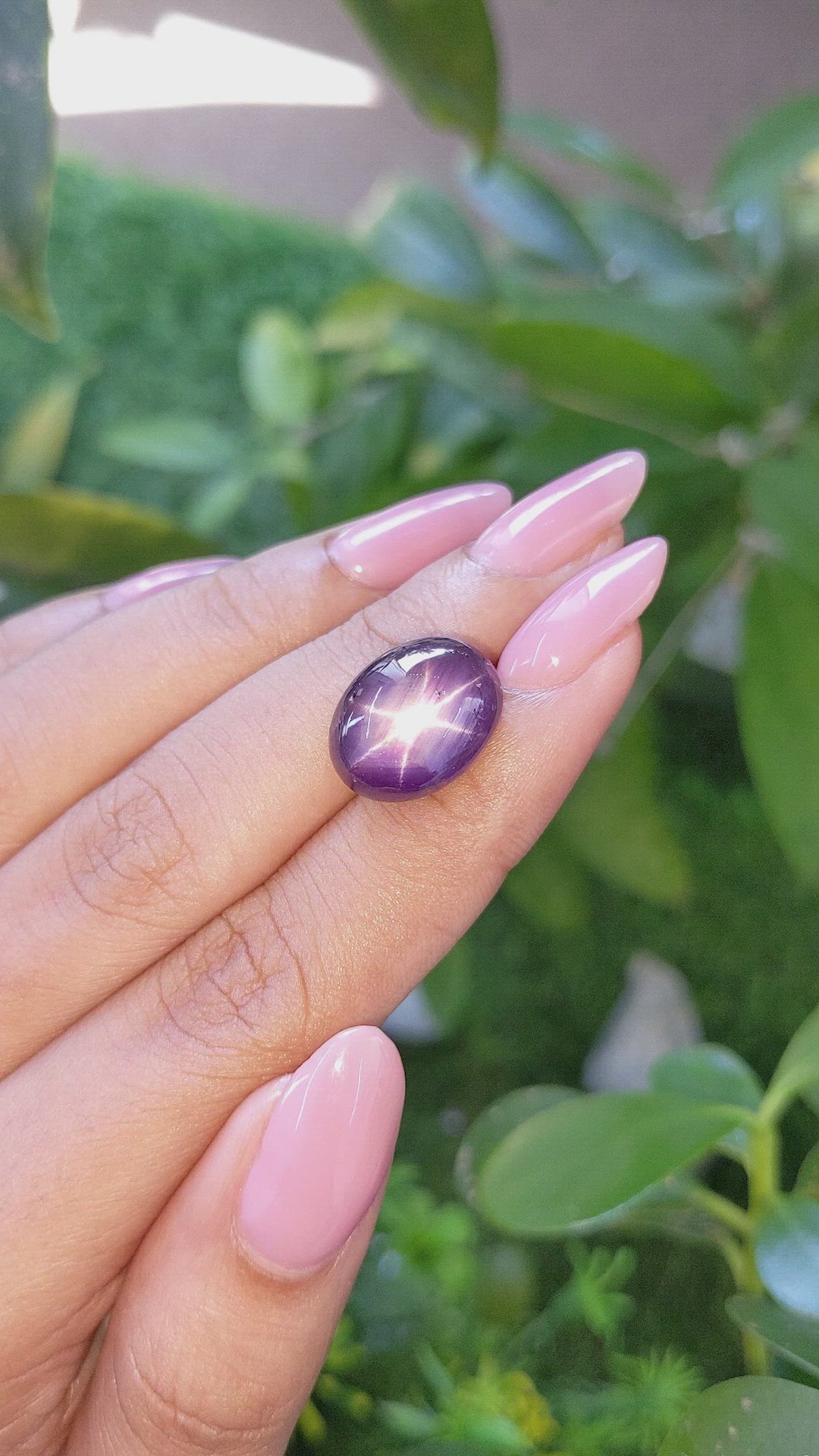 17.03 Ct. Purple Star Sapphire from Ceylon (Sri Lanka) Size Video