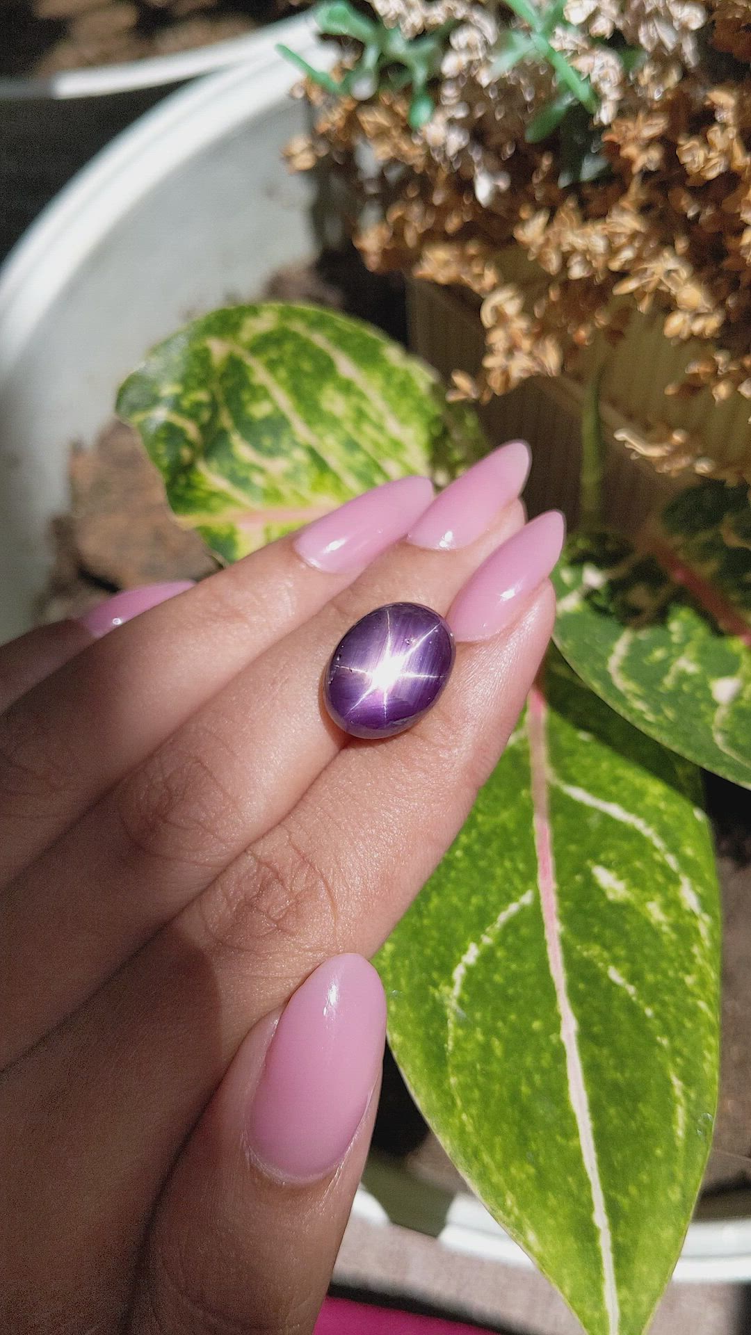 17.03 Ct. Purple Star Sapphire from Ceylon (Sri Lanka) Size Video