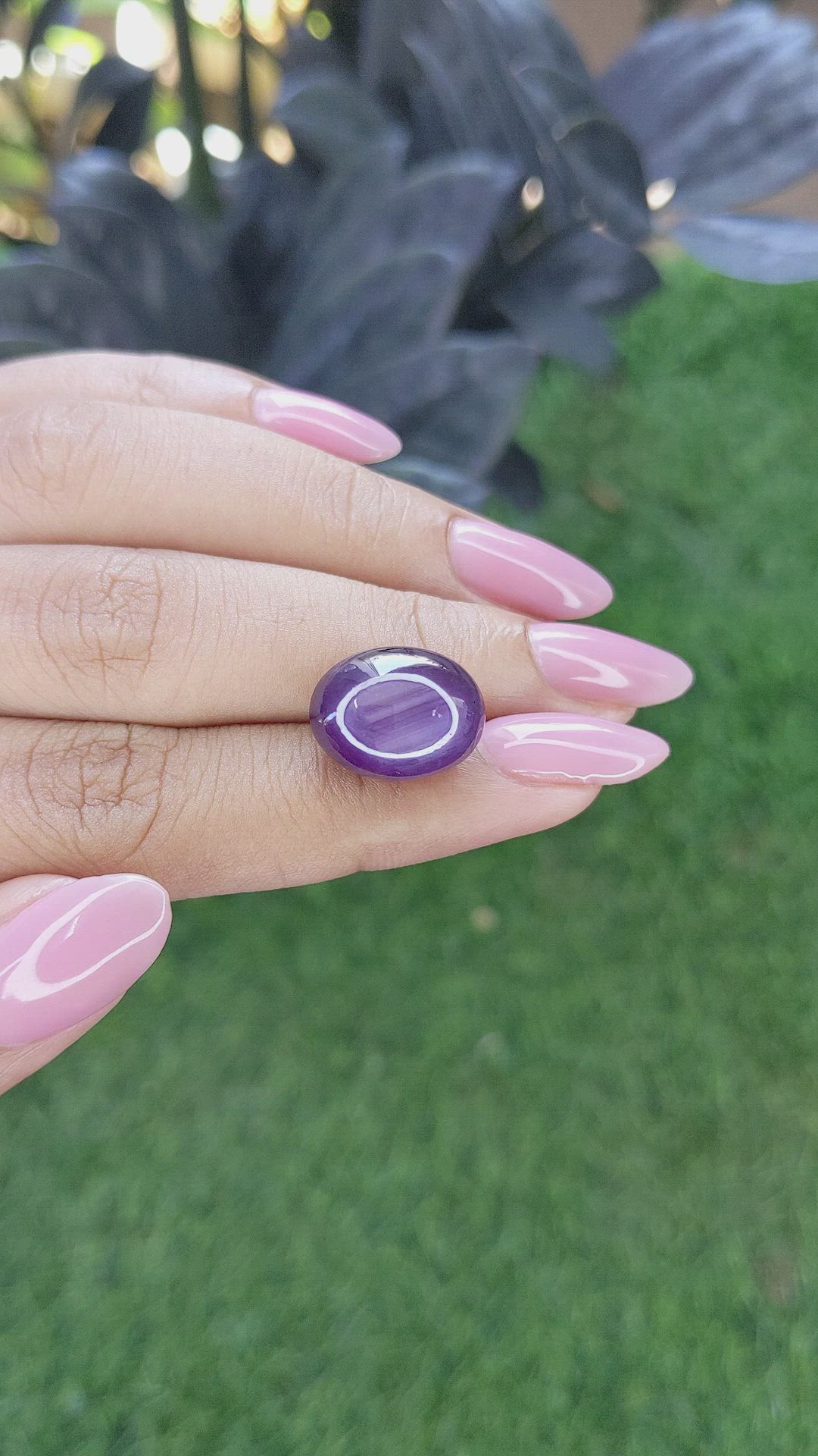 17.03 Ct. Purple Star Sapphire from Ceylon (Sri Lanka) Size Video