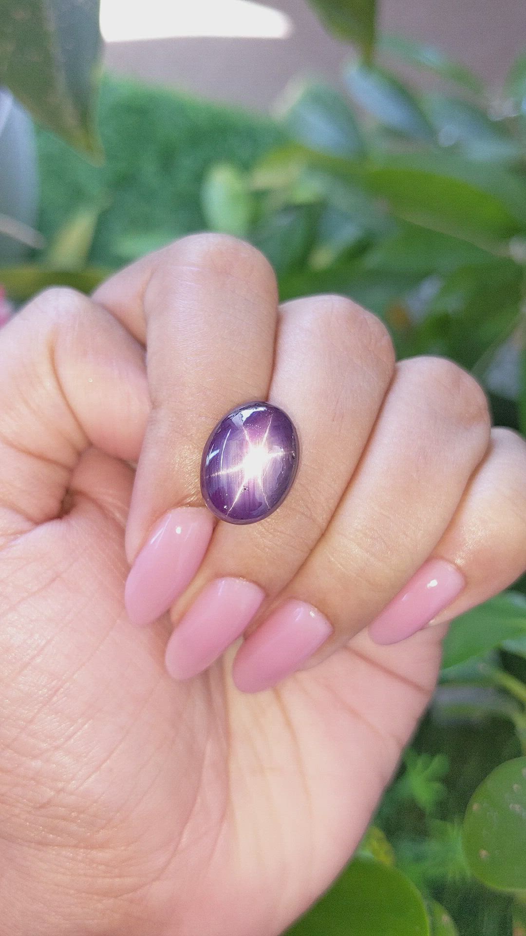 17.03 Ct. Purple Star Sapphire from Ceylon (Sri Lanka) Size Video