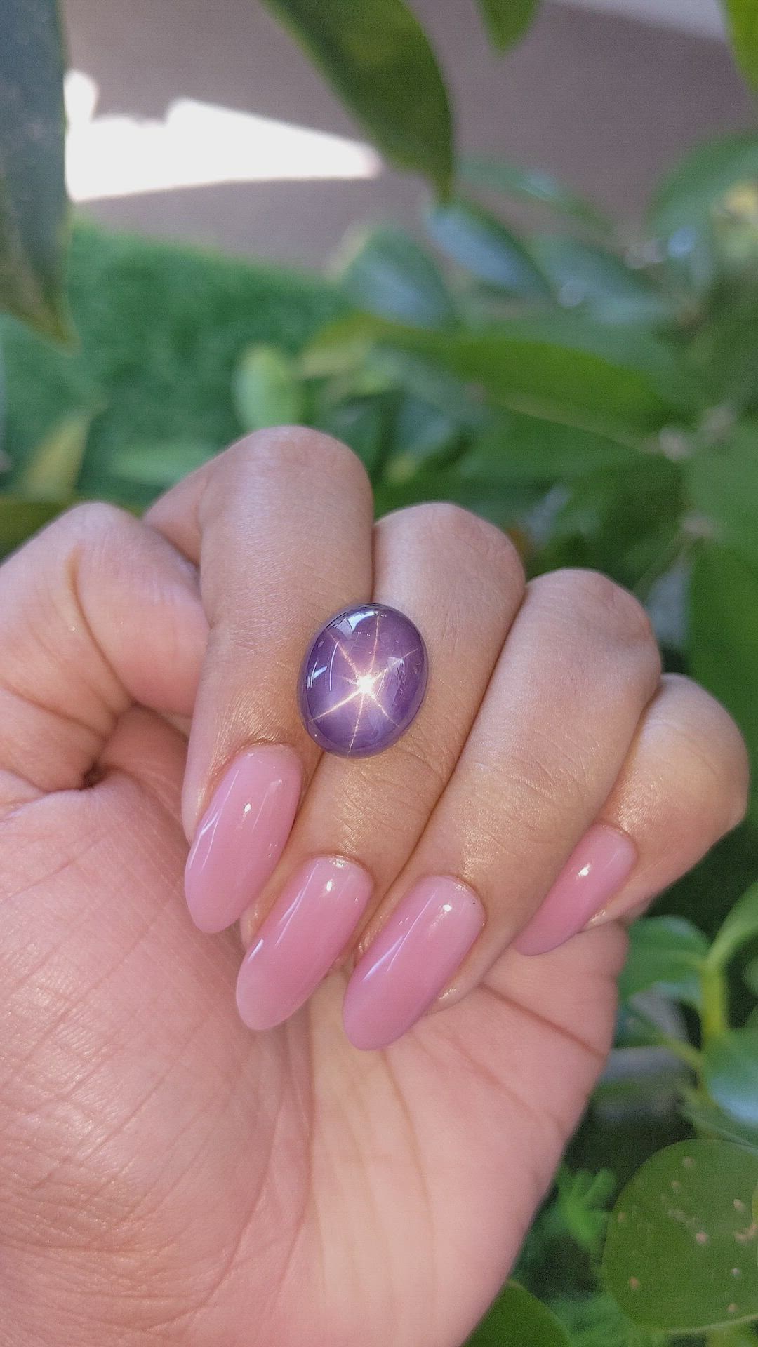 16.16 Ct. Purple Star Sapphire from Ceylon (Sri Lanka) Size Video