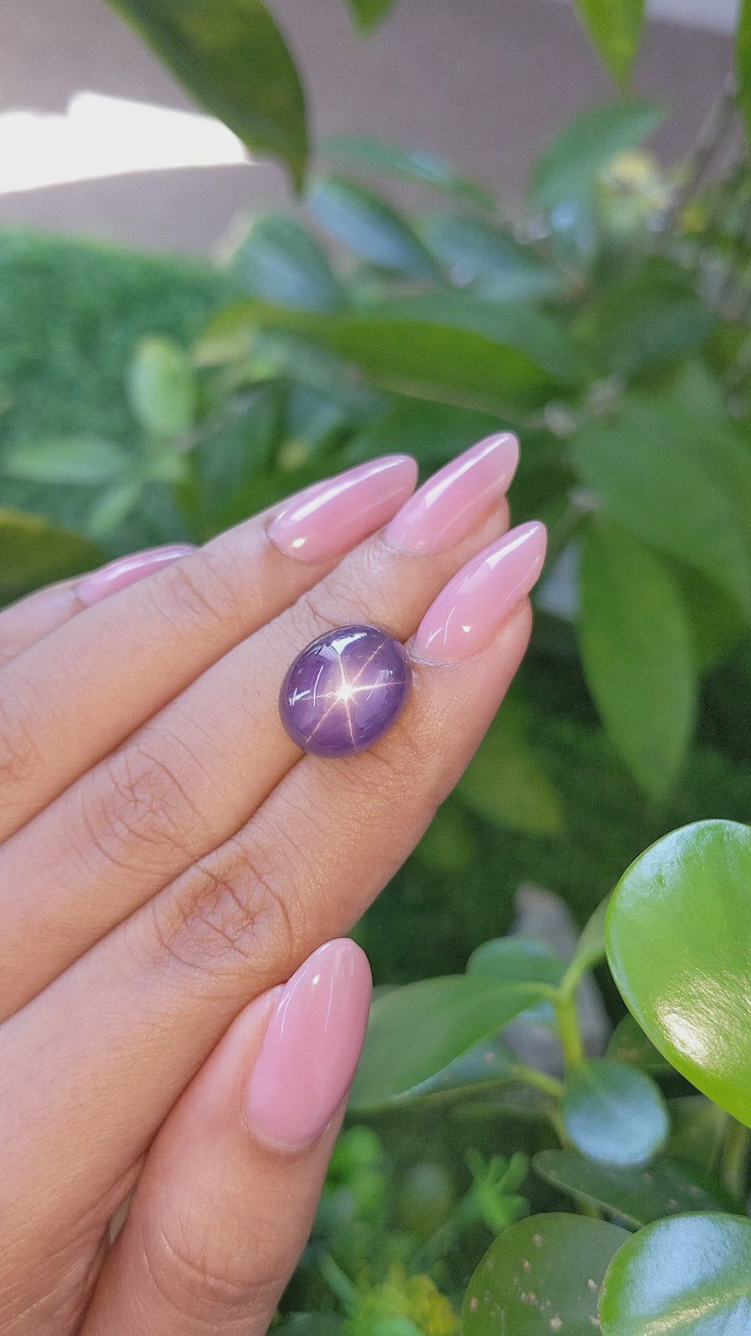 16.16 Ct. Purple Star Sapphire from Ceylon (Sri Lanka) Size Video