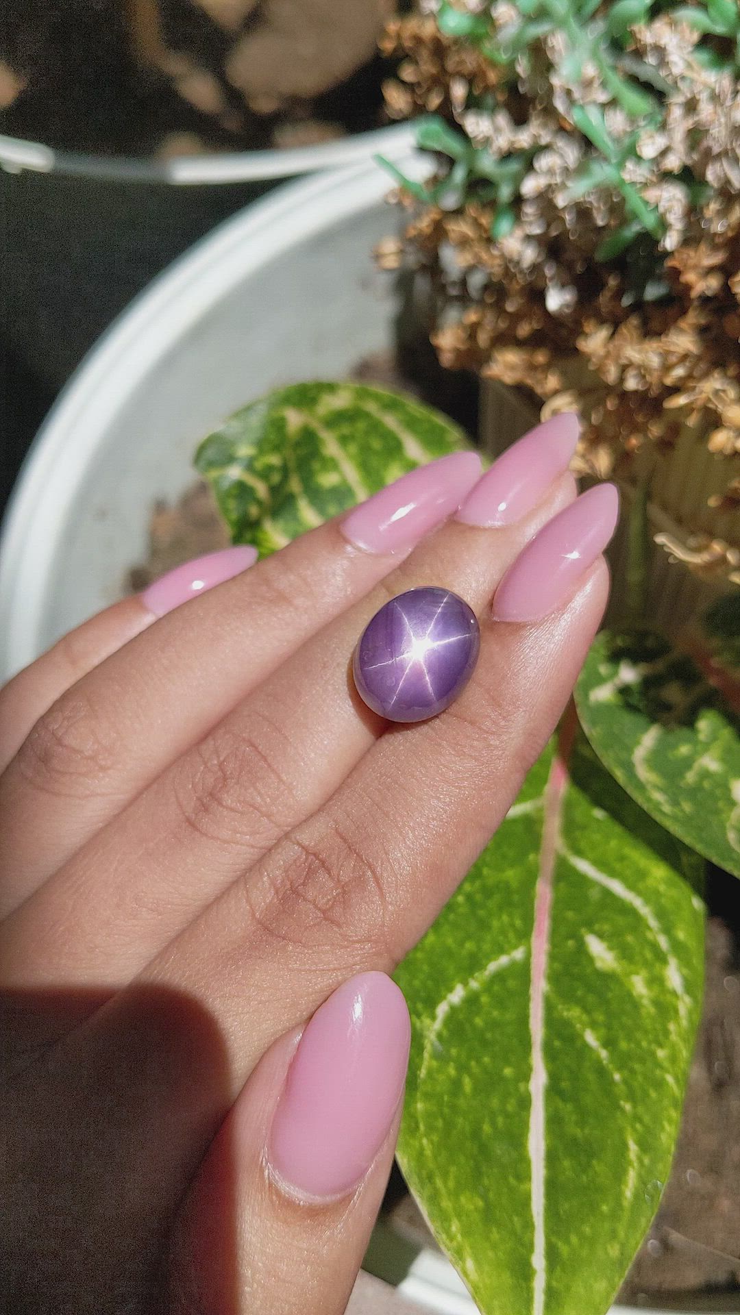 16.16 Ct. Purple Star Sapphire from Ceylon (Sri Lanka) Size Video