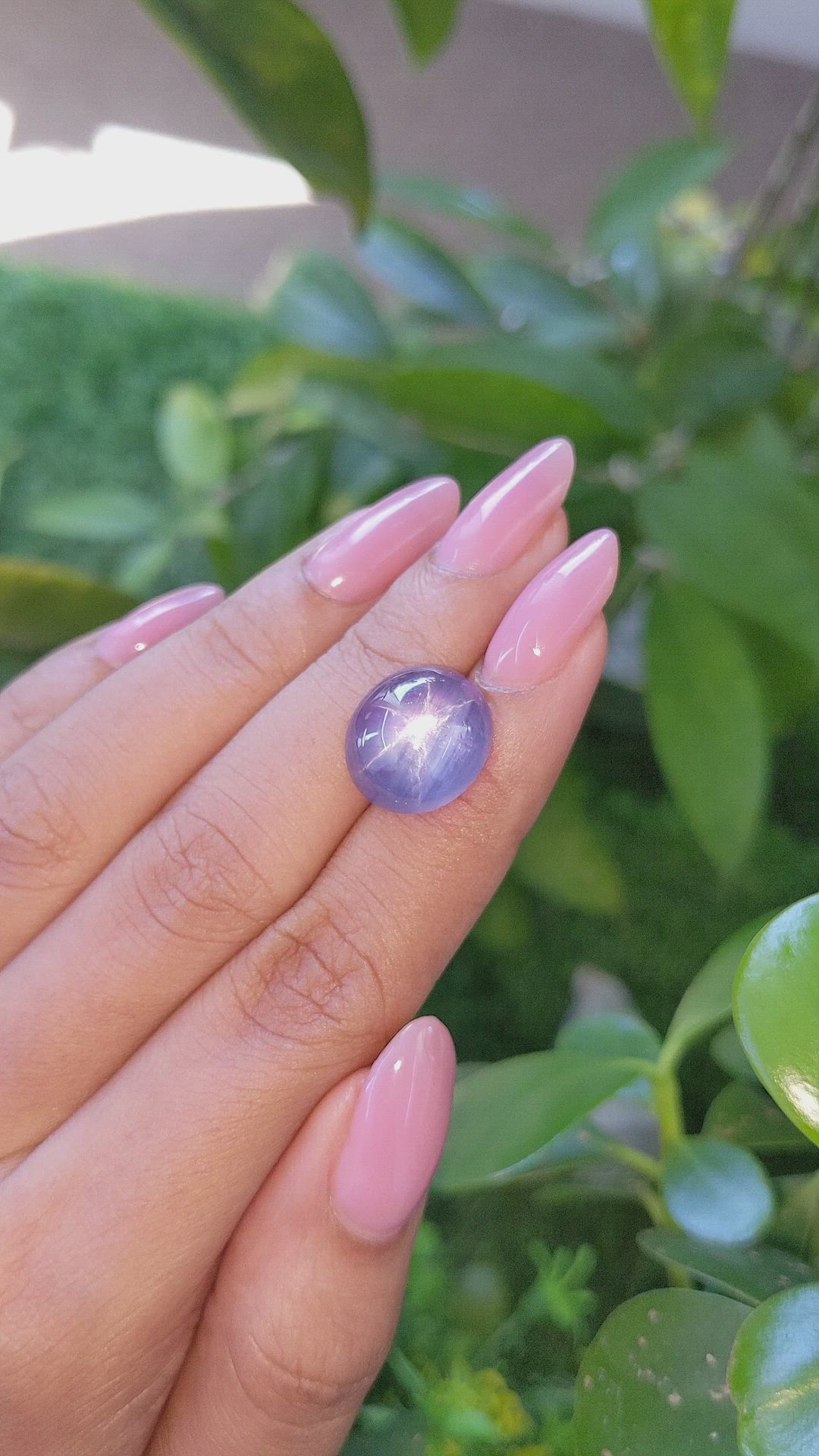 14.12 Ct. Purple Star Sapphire from Ceylon (Sri Lanka) Size Video