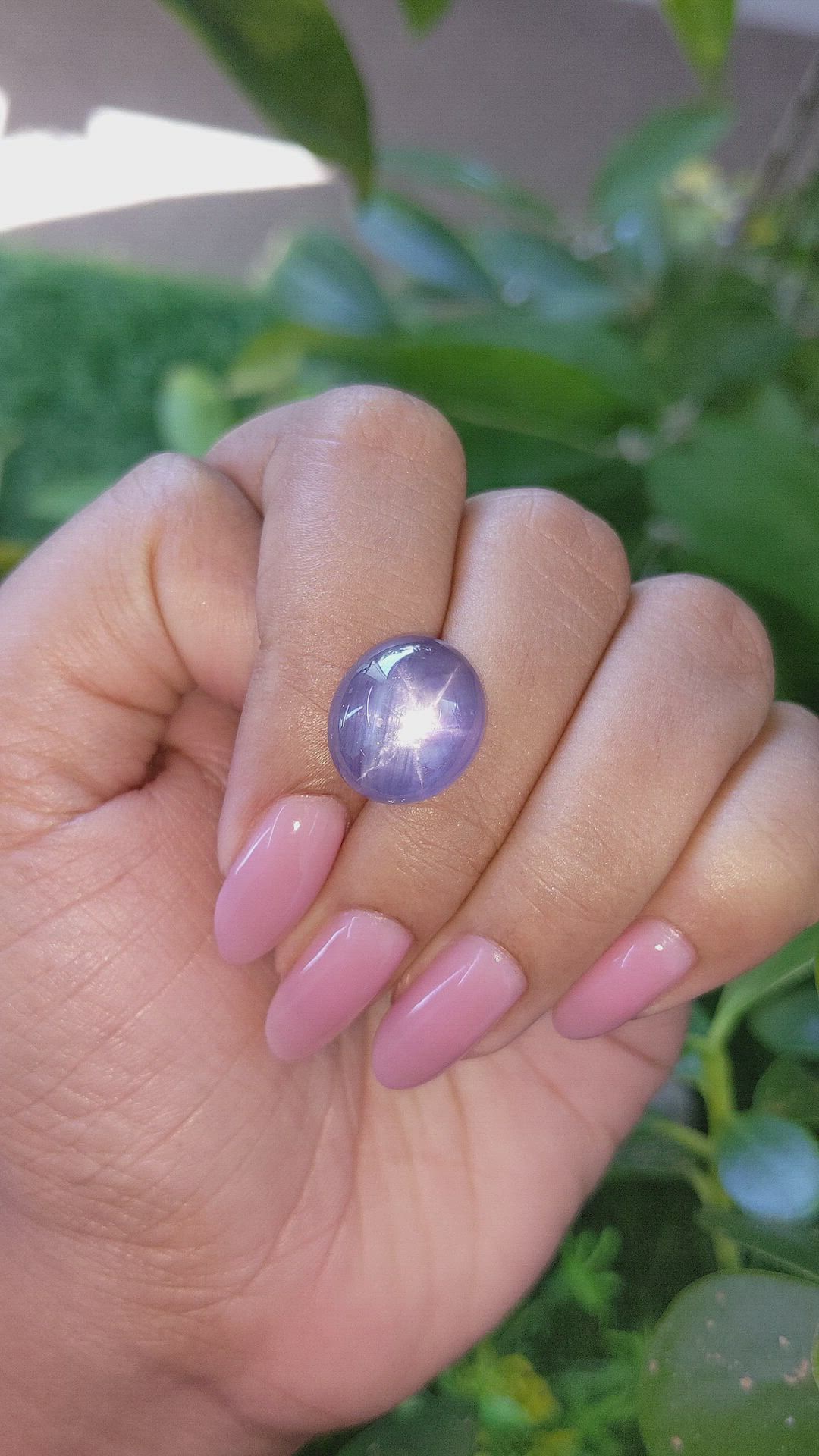 14.12 Ct. Purple Star Sapphire from Ceylon (Sri Lanka) Size Video