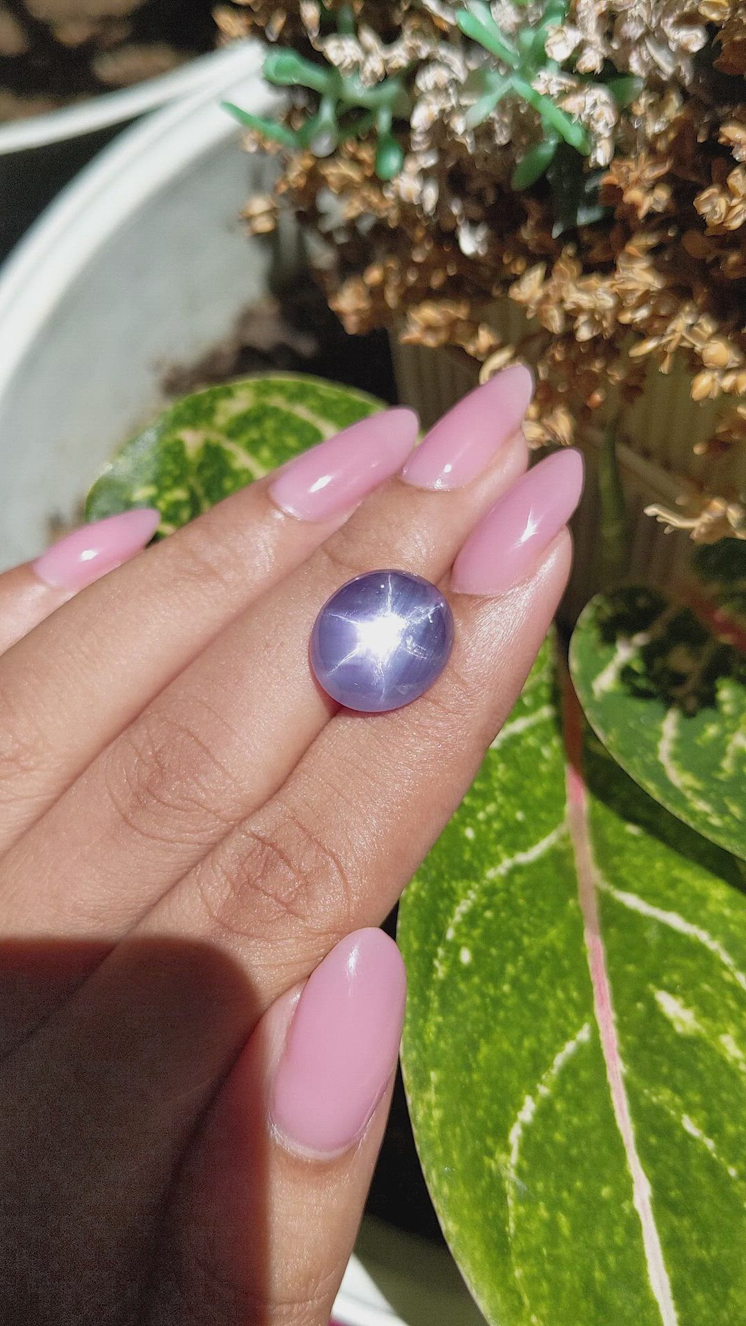 14.12 Ct. Purple Star Sapphire from Ceylon (Sri Lanka) Size Video