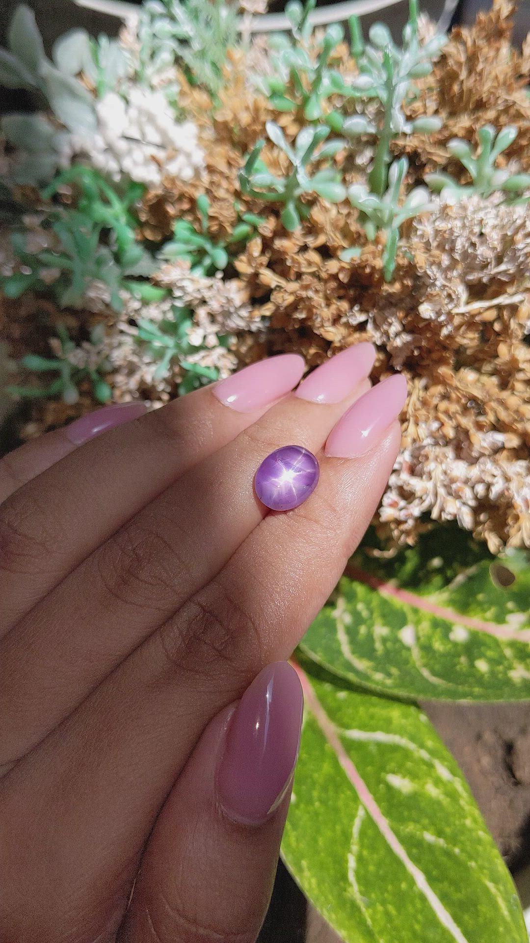 5.27 Ct. Purple Star Sapphire from Ceylon (Sri Lanka) Size Video