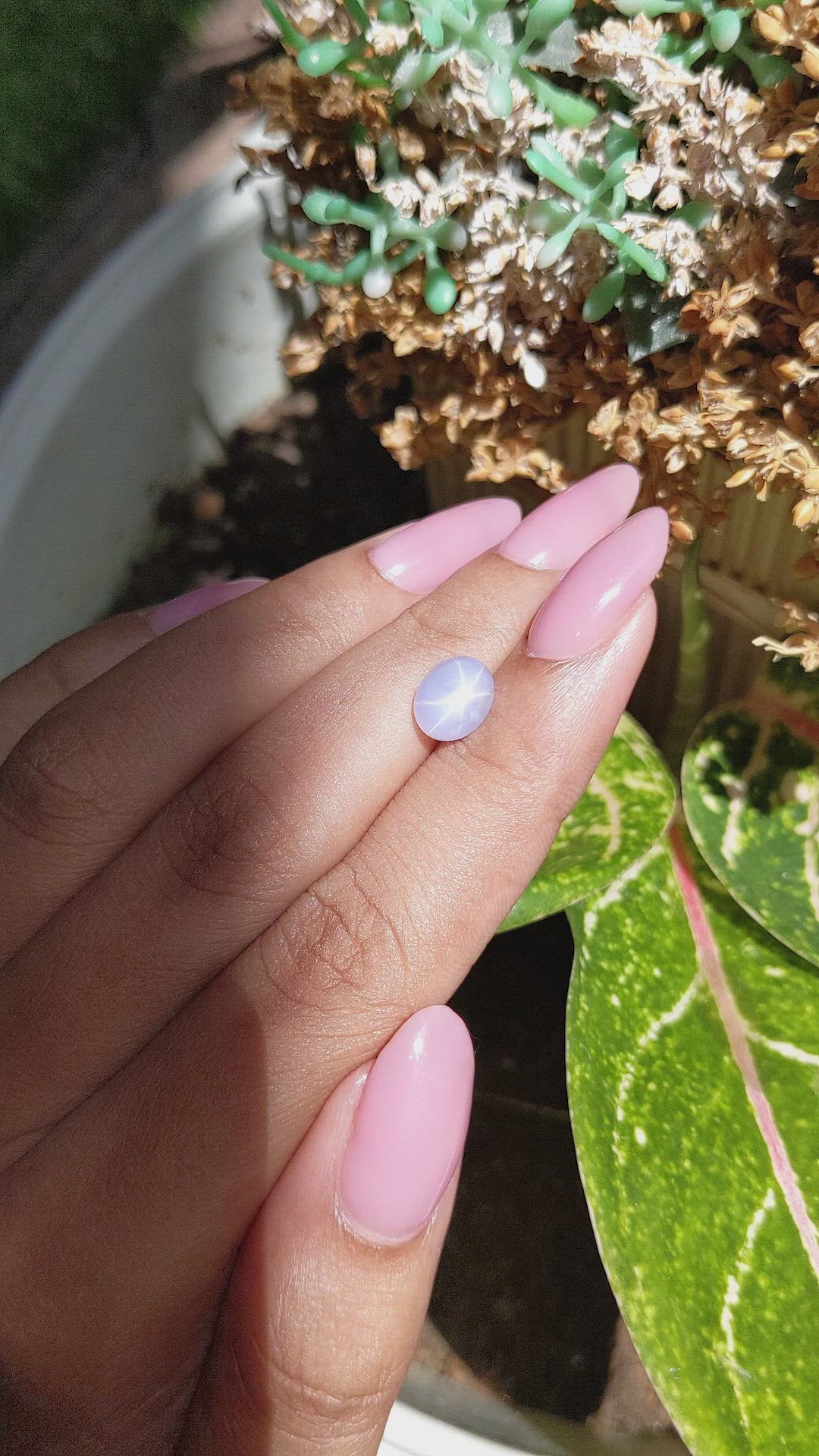 2.71 Ct. Greyish Blue Star Sapphire from Ceylon (Sri Lanka) Size Video