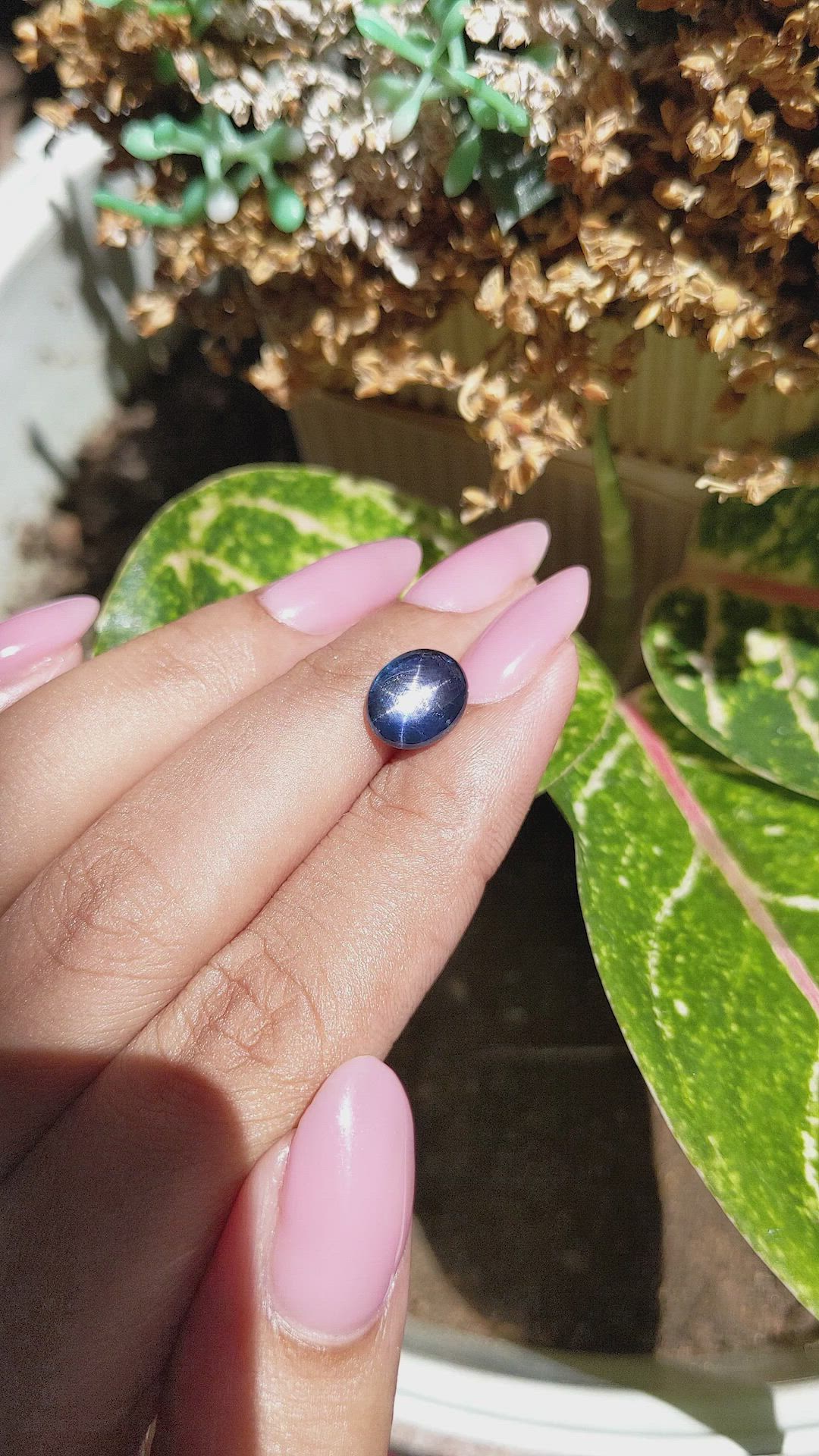 3.43 Ct. Blue Star Sapphire from Ceylon (Sri Lanka) Size Video