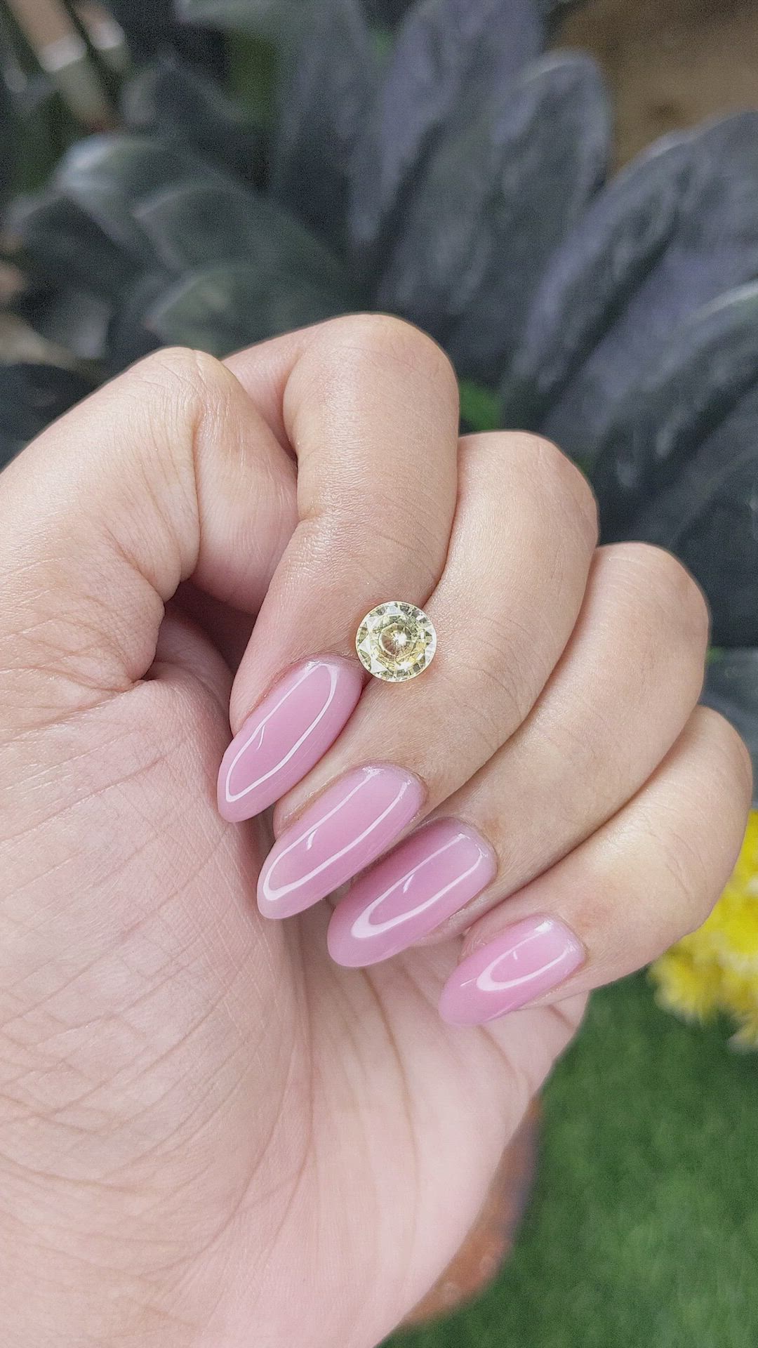 1.44 Ct. Yellow Sapphire from Ceylon (Sri Lanka) Size Video