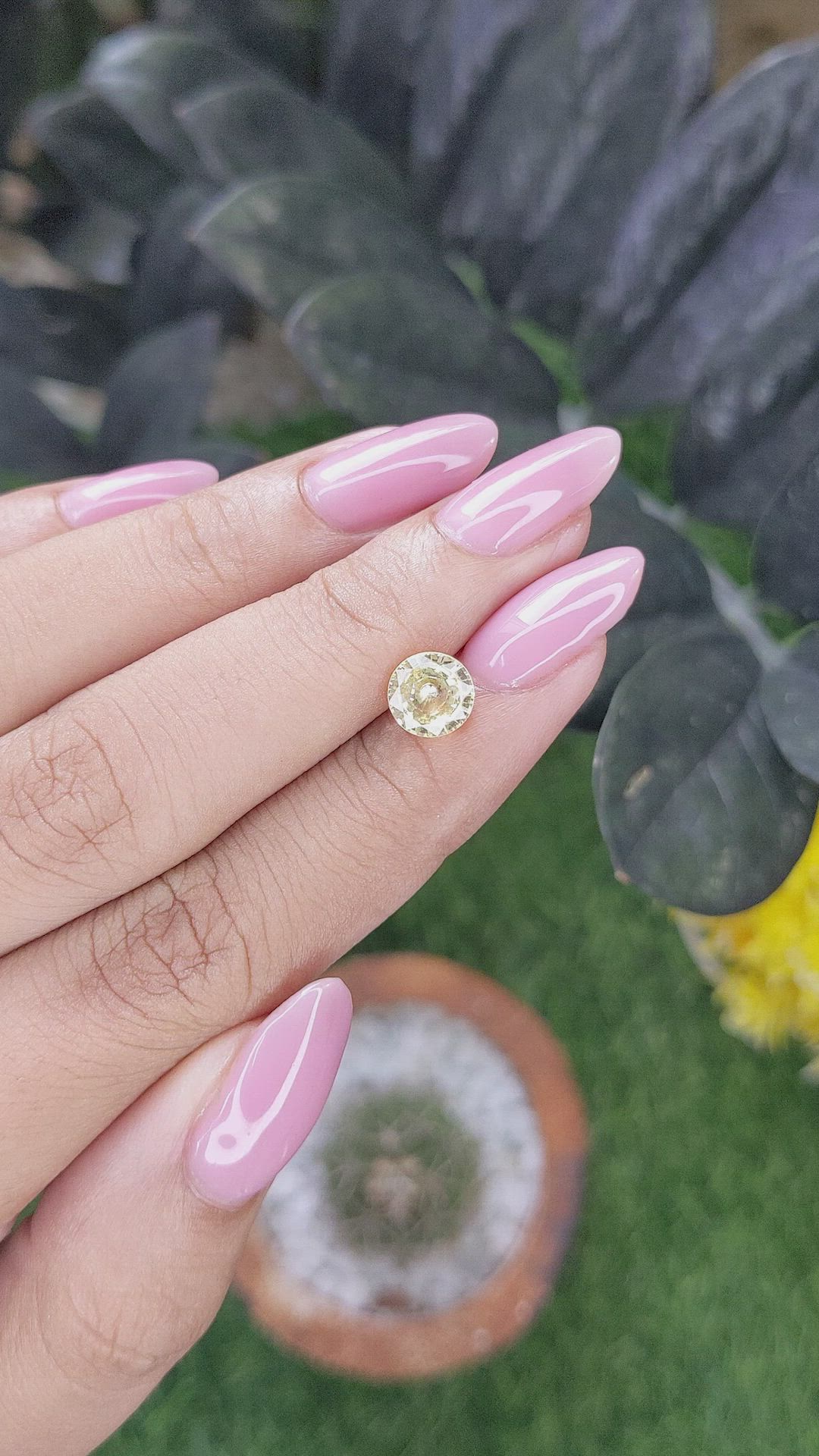 1.44 Ct. Yellow Sapphire from Ceylon (Sri Lanka) Size Video