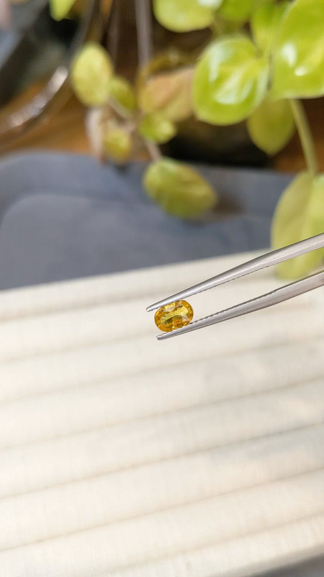 0.60 Ct. Orangish Yellow Sapphire from Thailand Size Video