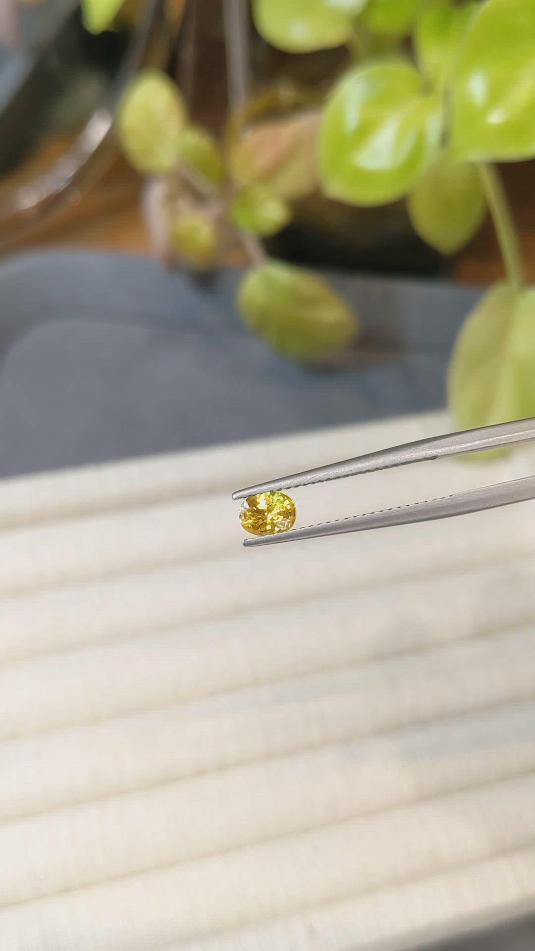 0.60 Ct. Yellow Sapphire from Thailand Size Video