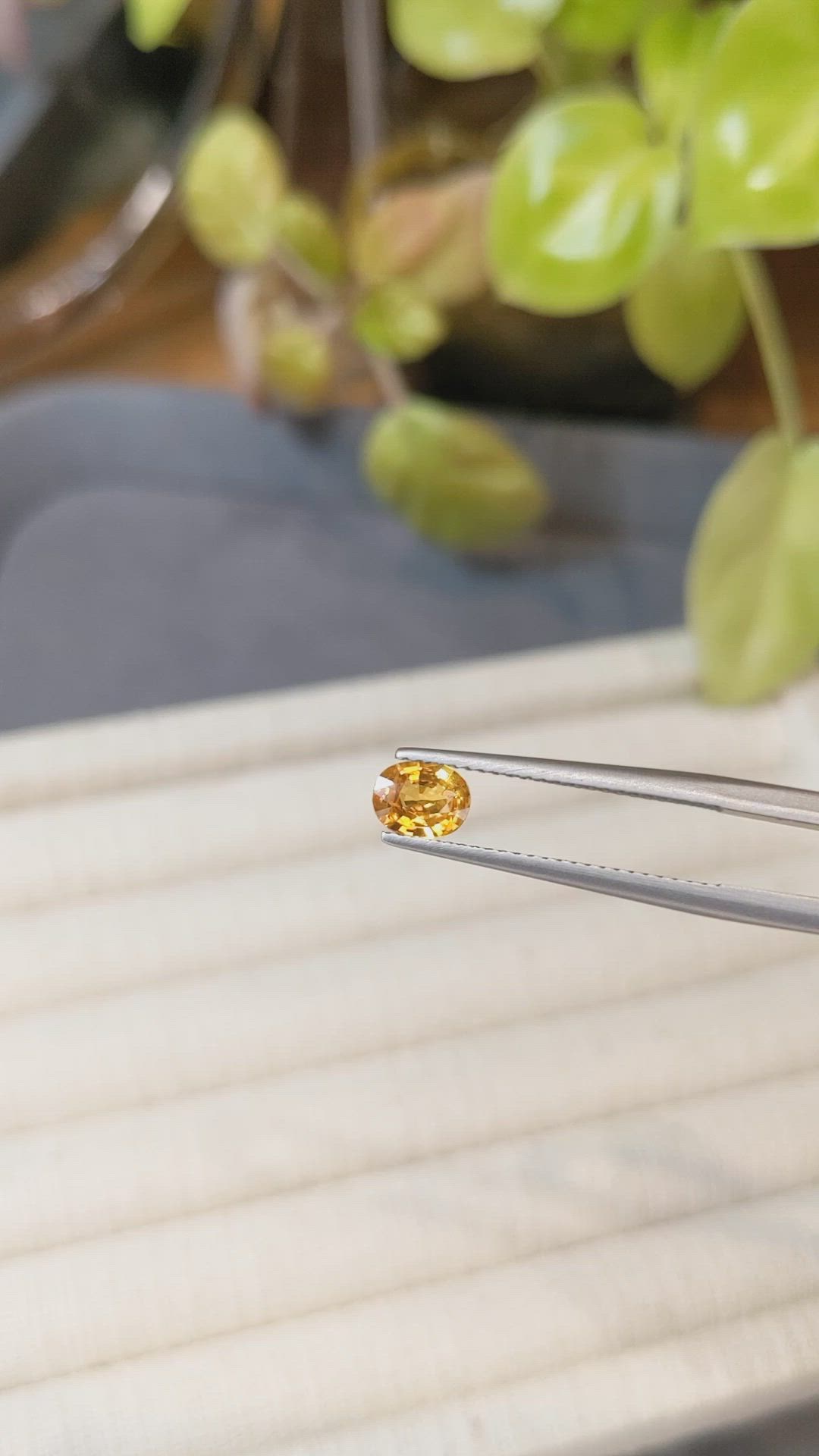 0.65 Ct. Orangish Yellow Sapphire from Thailand Size Video