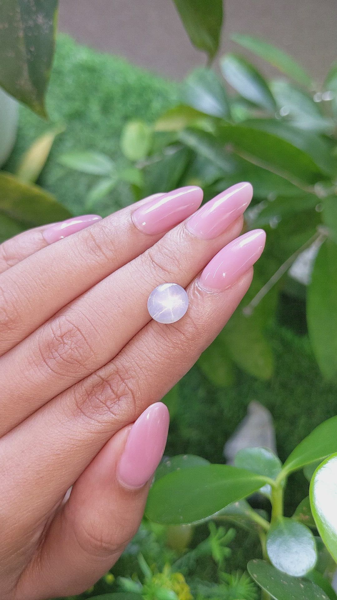 3.27 Ct. Grey Star Sapphire from Ceylon (Sri Lanka) Size Video