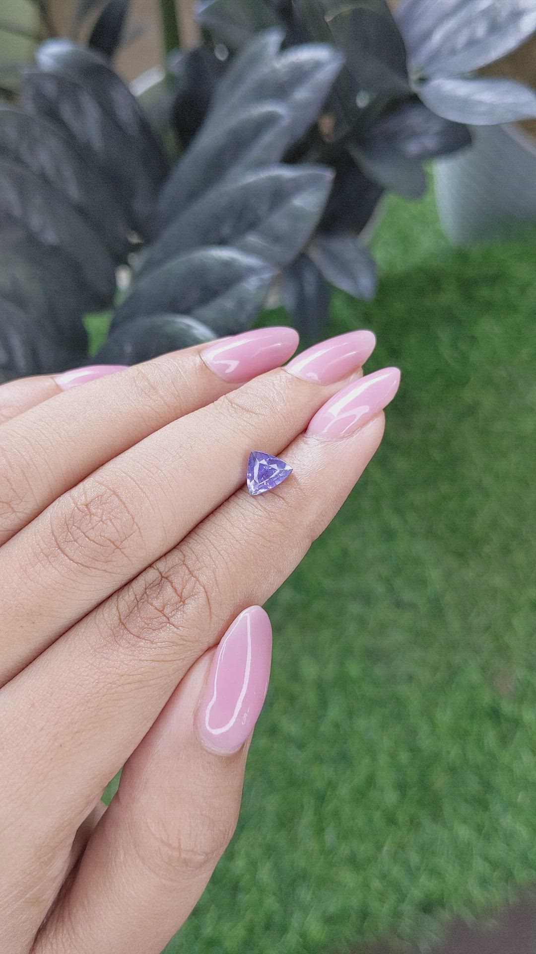 1.46 Ct. Purple Sapphire from Ceylon (Sri Lanka) Size Video
