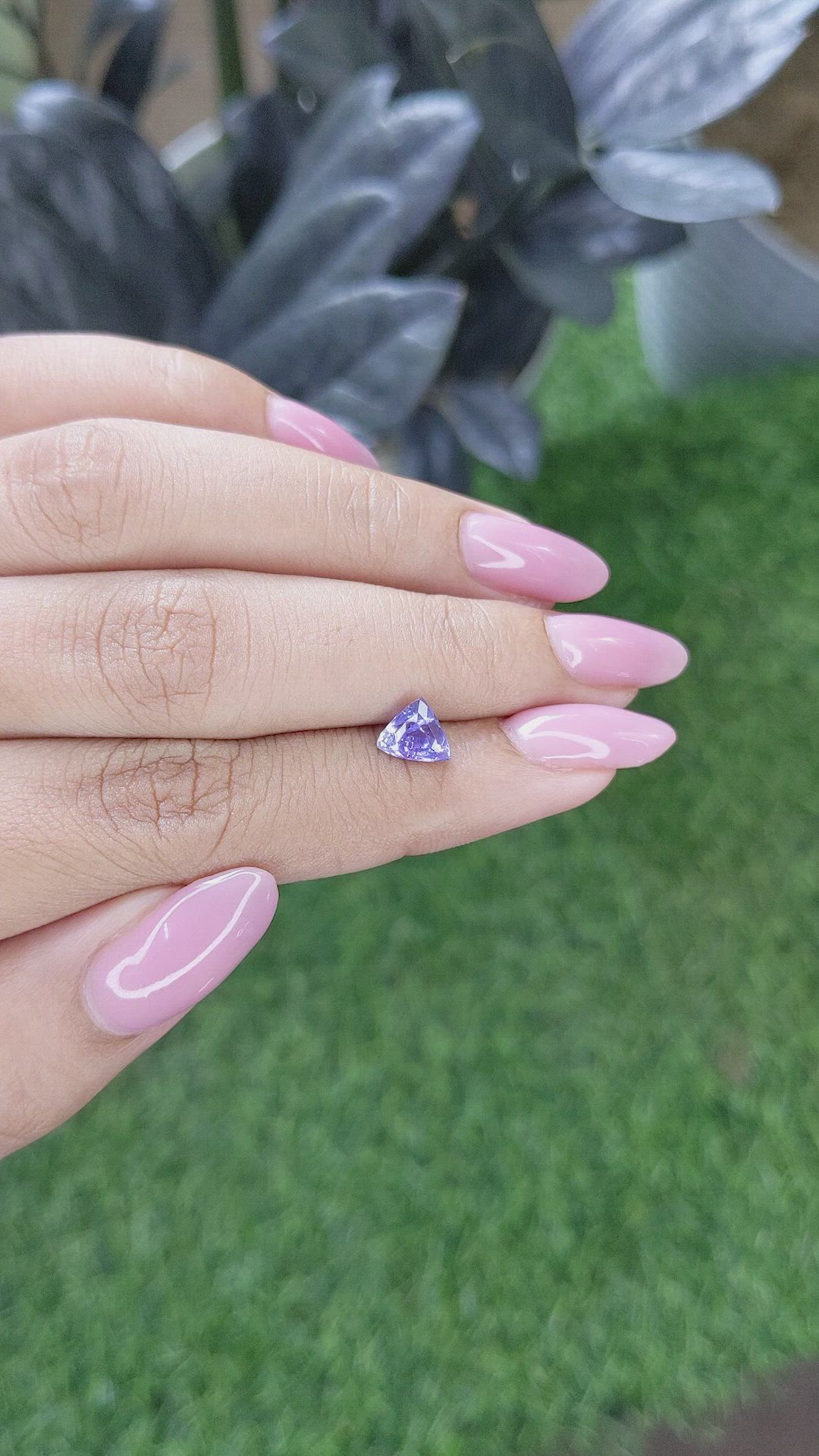 1.46 Ct. Purple Sapphire from Ceylon (Sri Lanka) Size Video