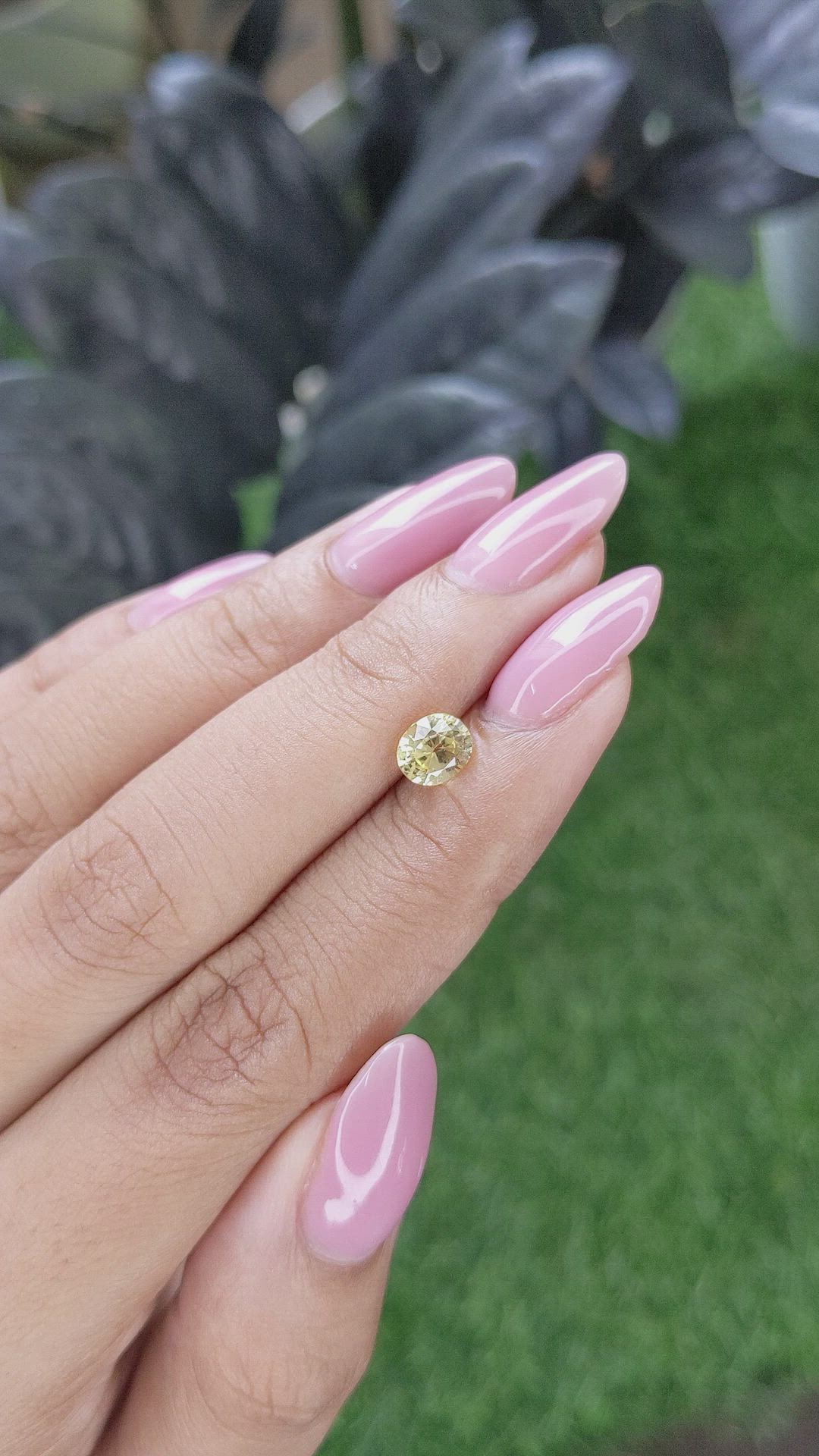 1.12 Ct. Yellow Sapphire from Ceylon (Sri Lanka) Size Video