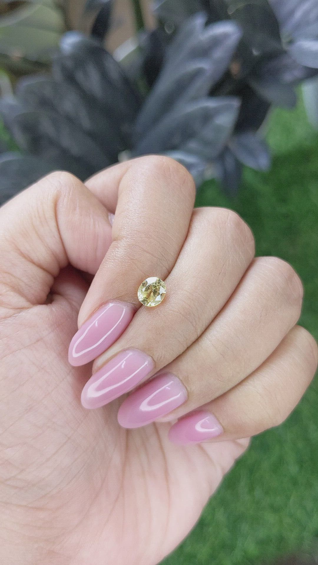 1.12 Ct. Yellow Sapphire from Ceylon (Sri Lanka) Size Video