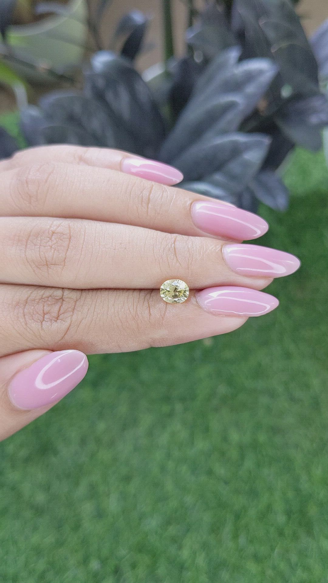 1.12 Ct. Yellow Sapphire from Ceylon (Sri Lanka) Size Video